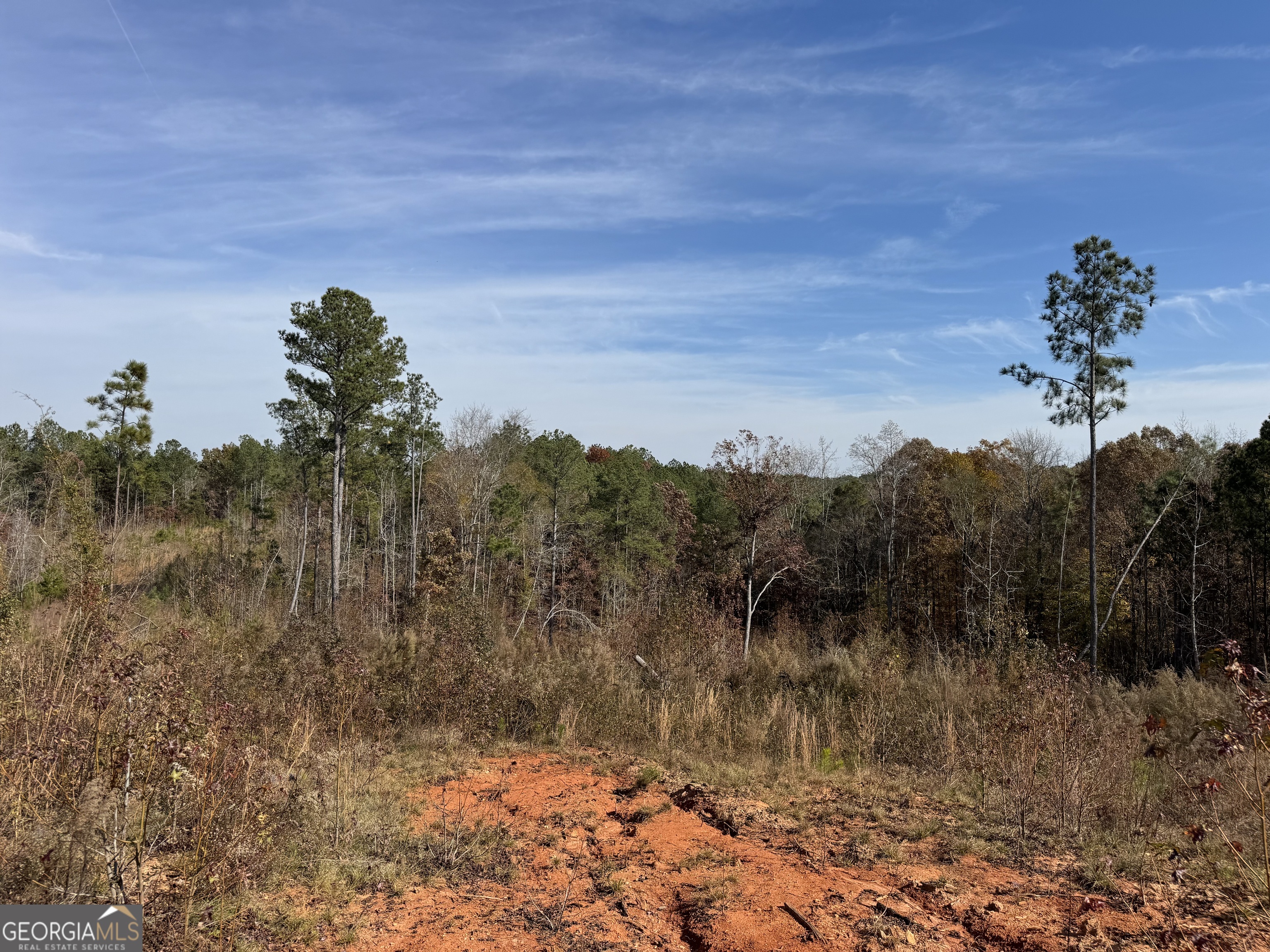 0 Old Middleton Road Elberton, GA 30635 - Photo 23 of 42 a view of a yard with a tree