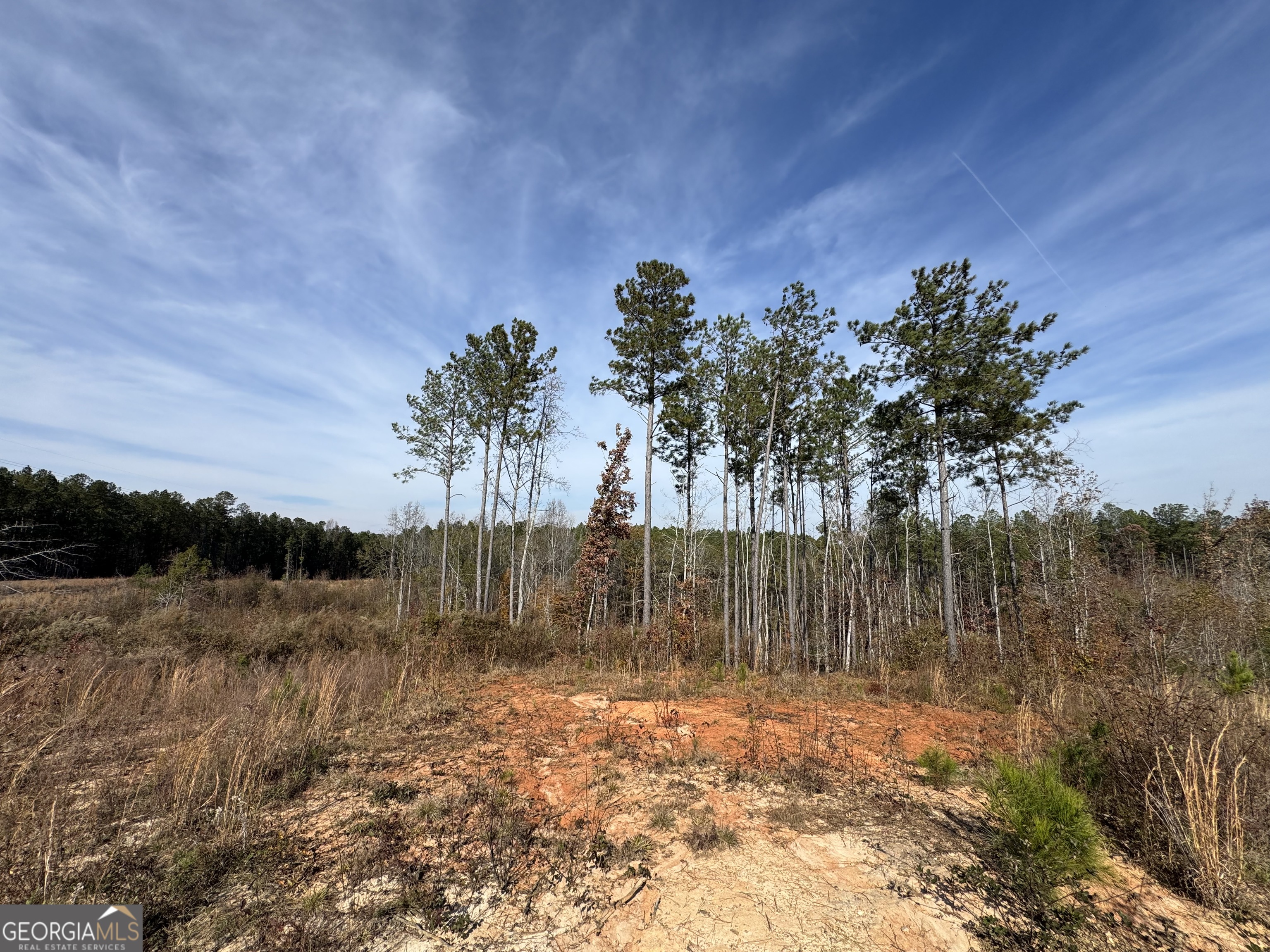 0 Old Middleton Road Elberton, GA 30635 - Photo 25 of 42 a view of a lake with mountain in the background