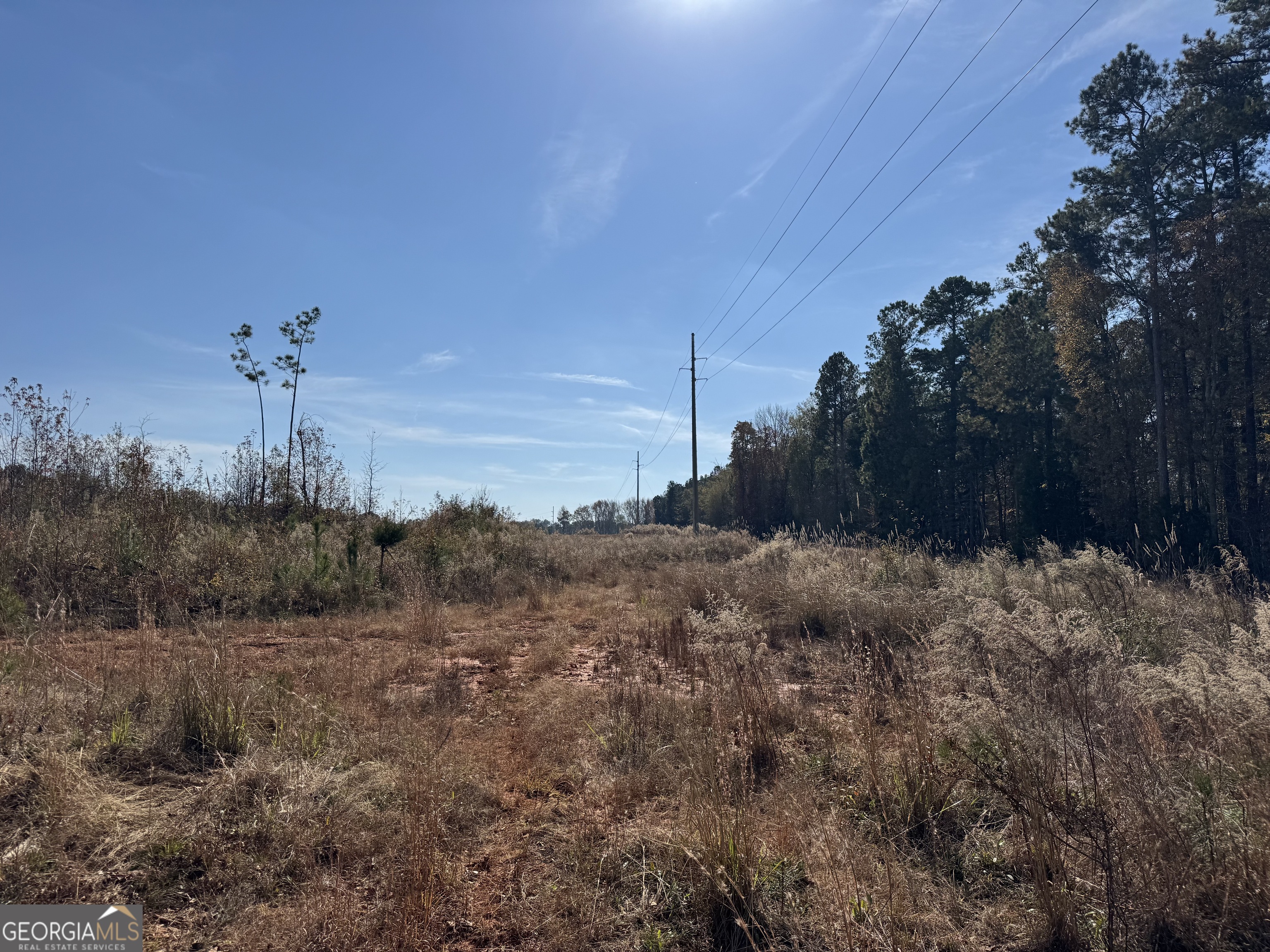 0 Old Middleton Road Elberton, GA 30635 - Photo 27 of 42 a view of a dry yard