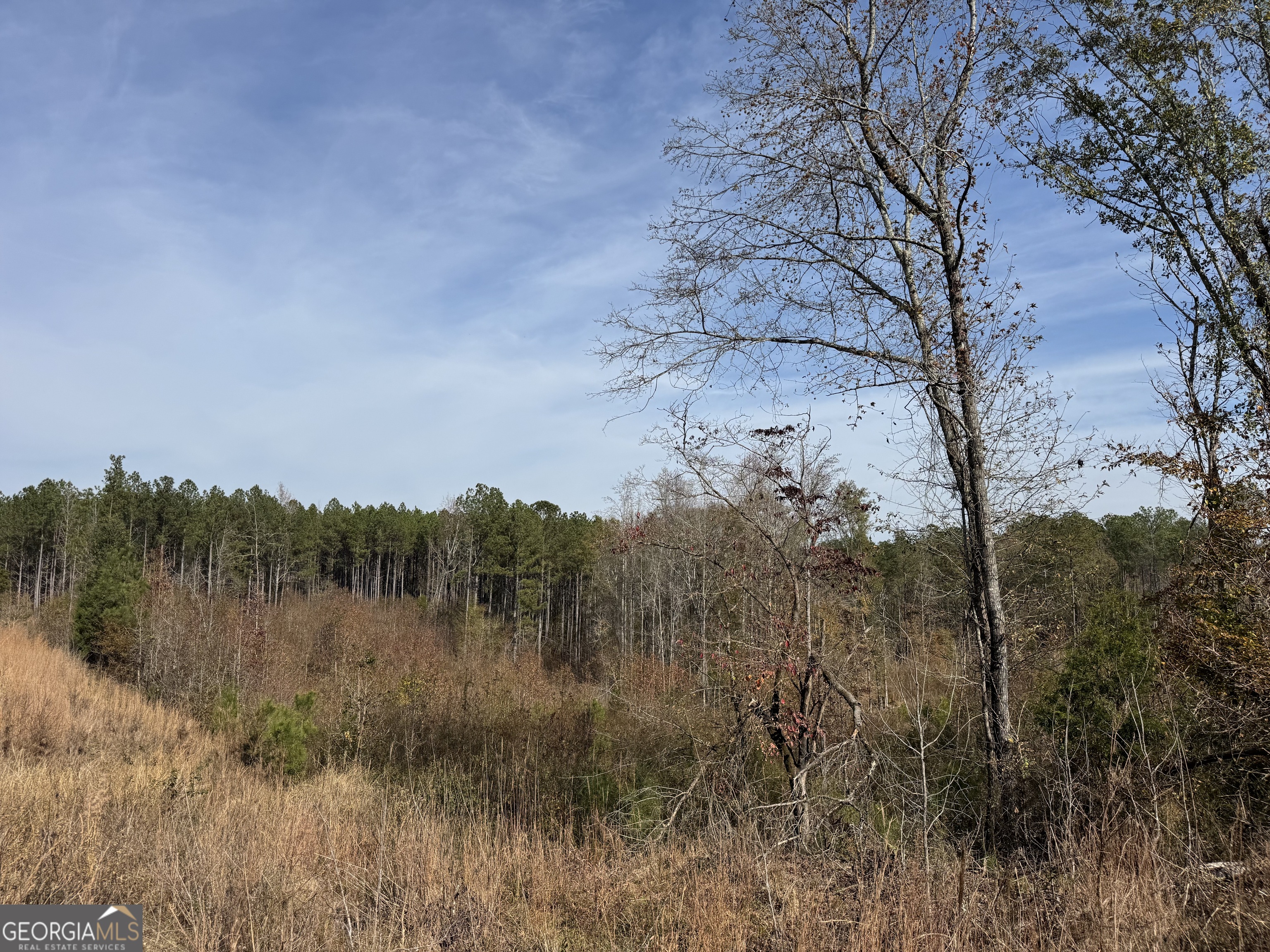 0 Old Middleton Road Elberton, GA 30635 - Photo 28 of 42 a view of a backyard of a house with a forest