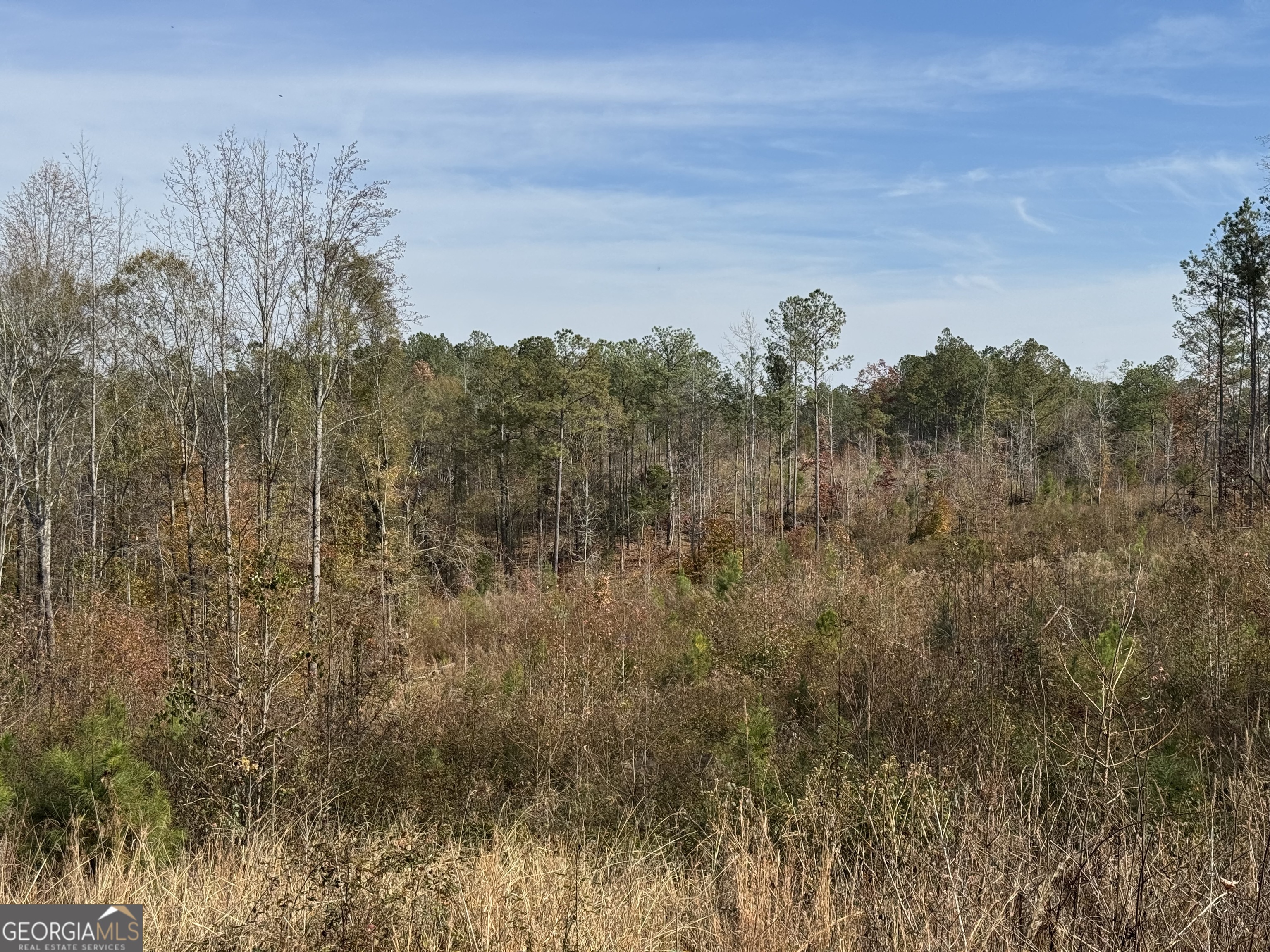 0 Old Middleton Road Elberton, GA 30635 - Photo 30 of 42 a view of a yard