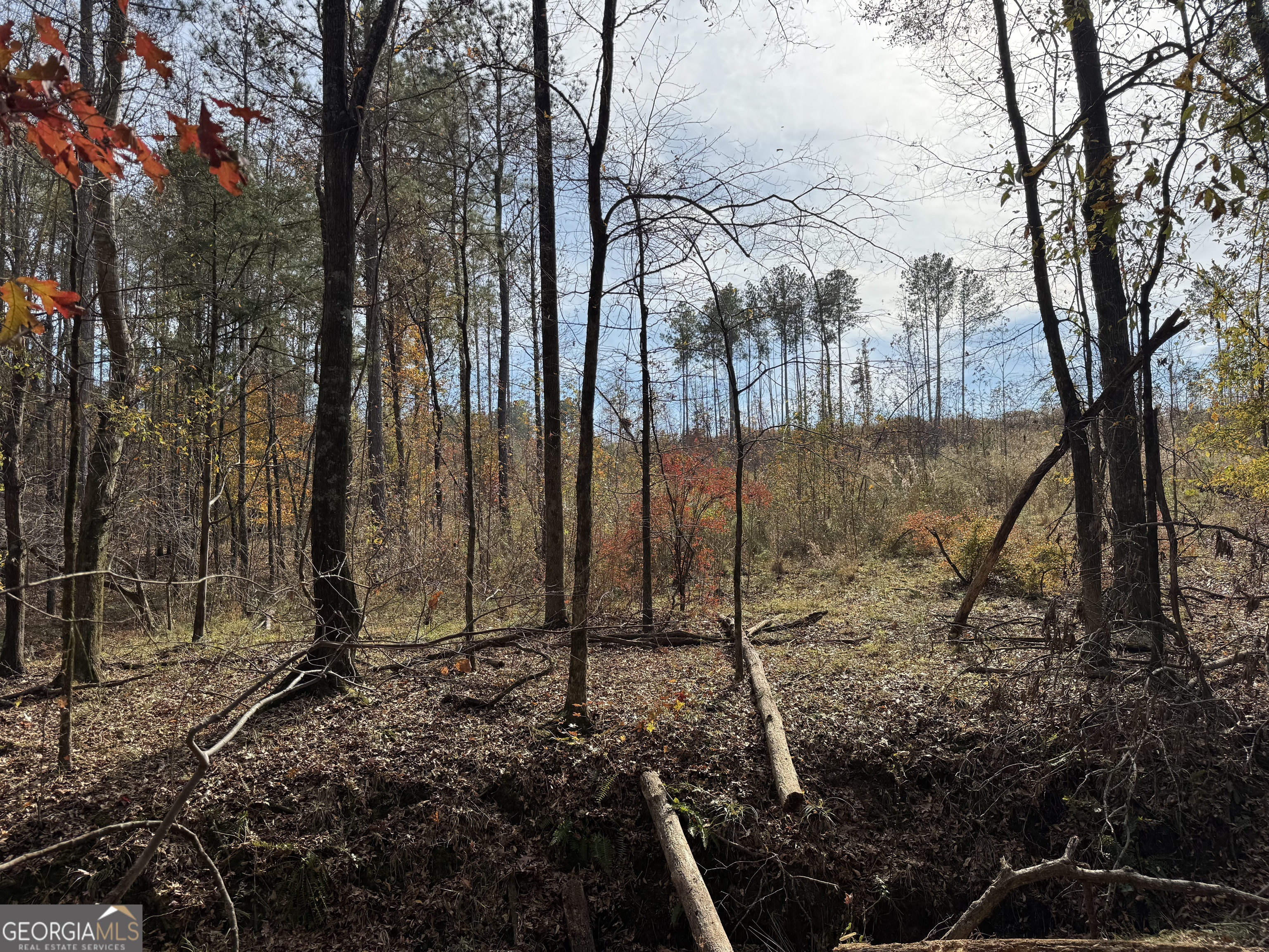 0 Old Middleton Road Elberton, GA 30635 - Photo 3 of 42 a view of a backyard