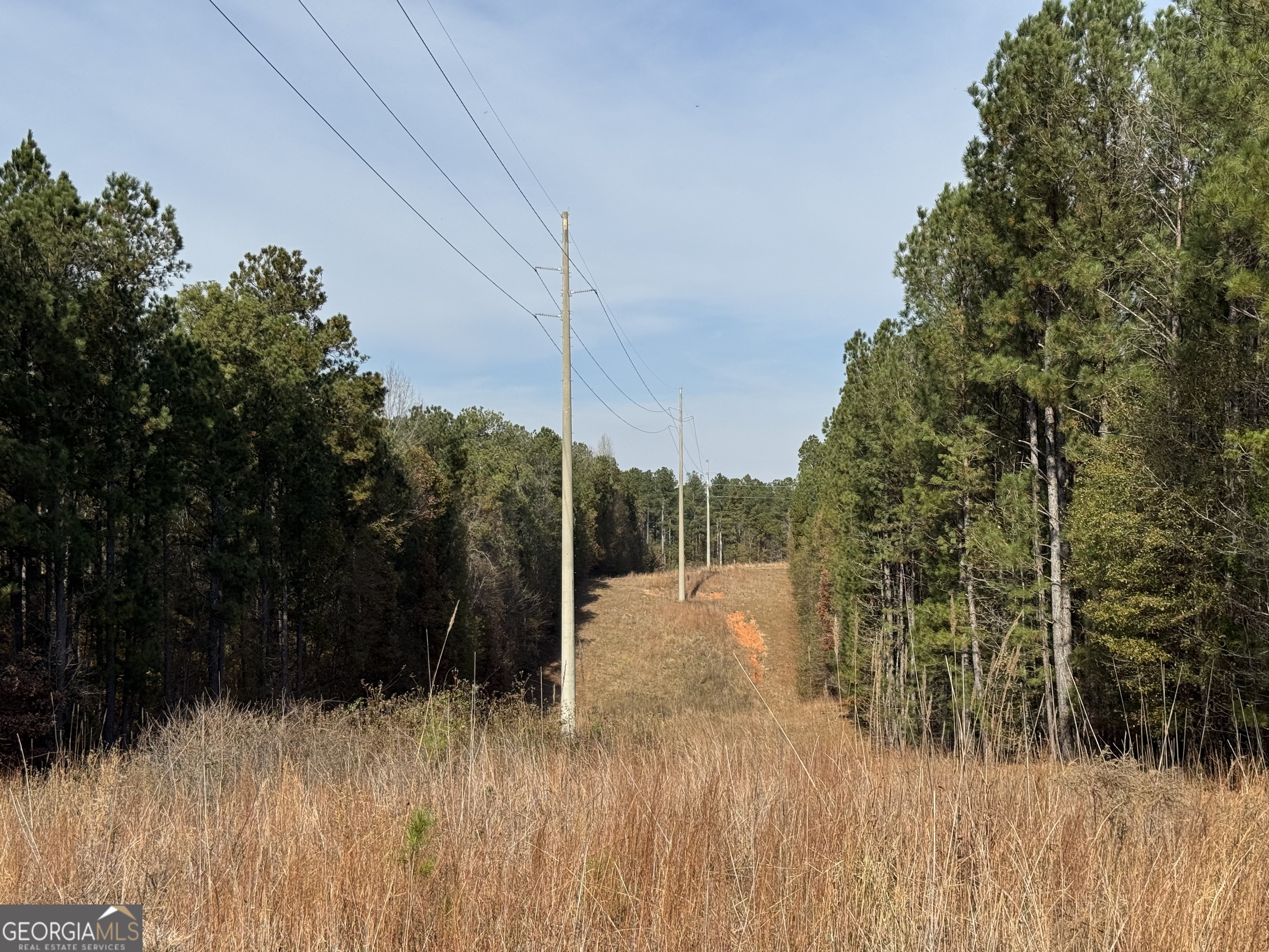 0 Old Middleton Road Elberton, GA 30635 - Photo 31 of 42 a view of a yard