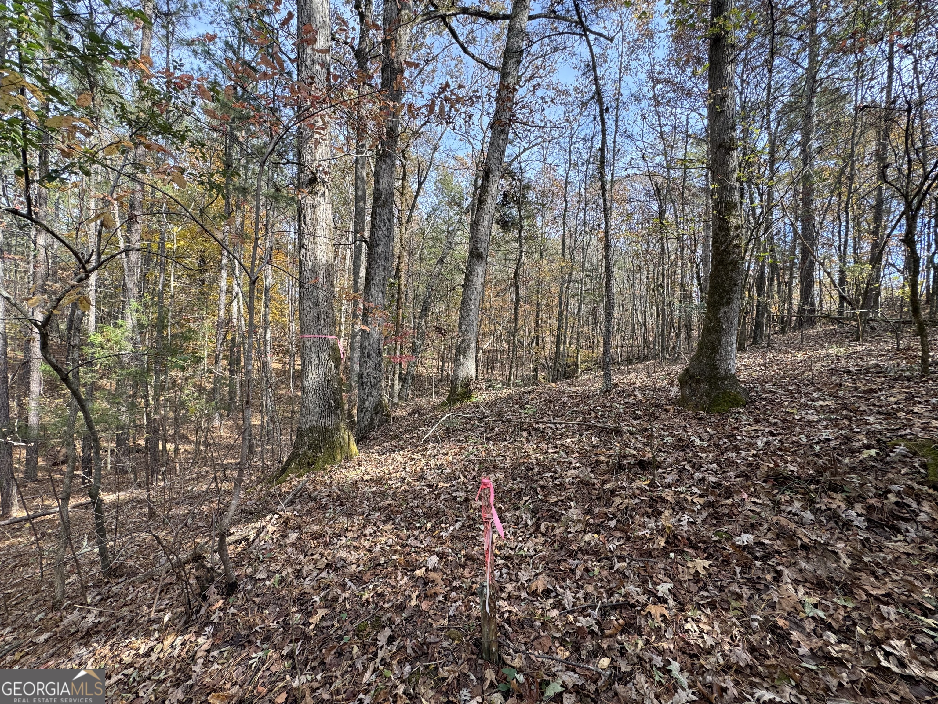 0 Old Middleton Road Elberton, GA 30635 - Photo 41 of 42