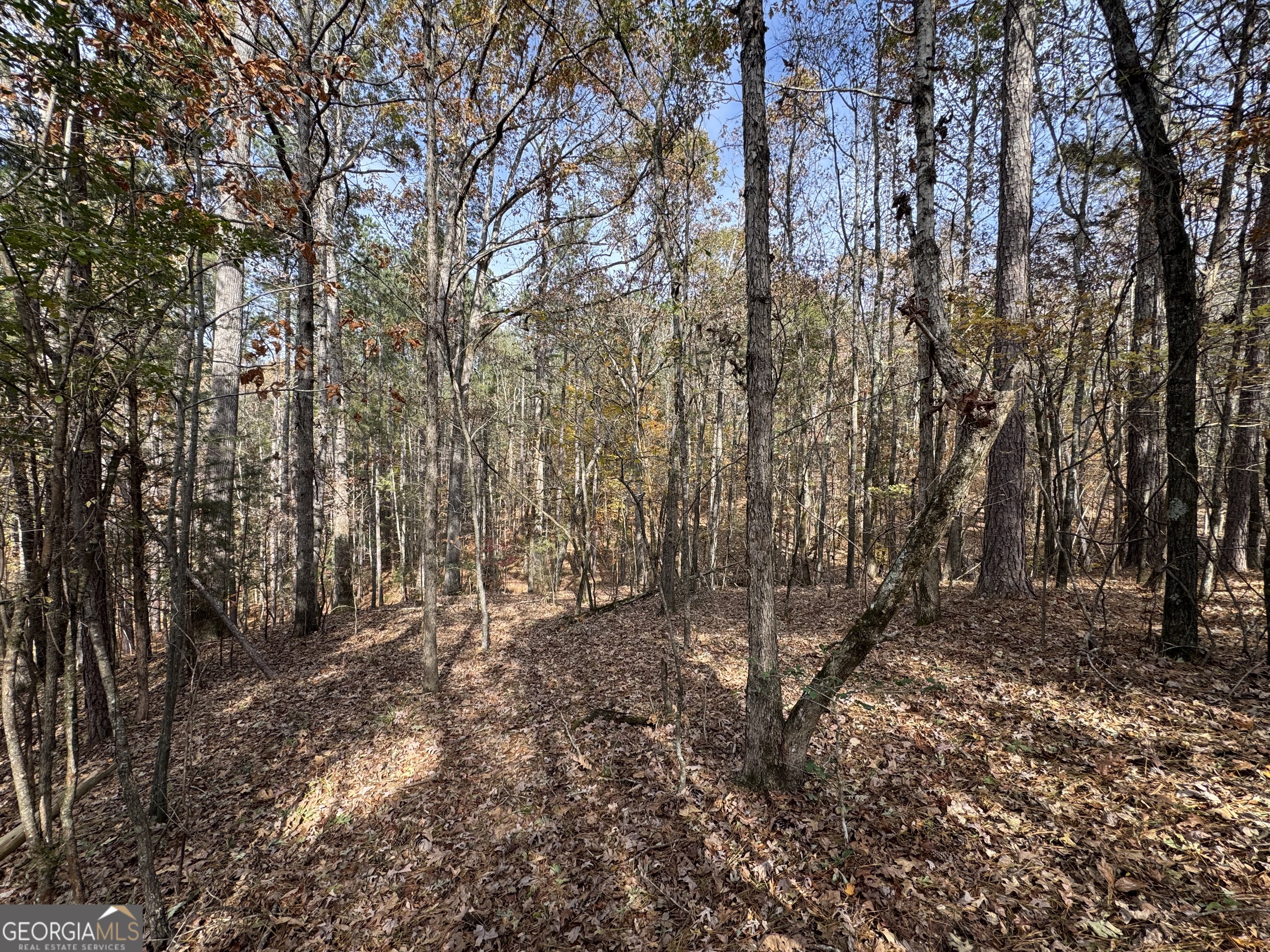 0 Old Middleton Road Elberton, GA 30635 - Photo 42 of 42 a view of outdoor space and trees