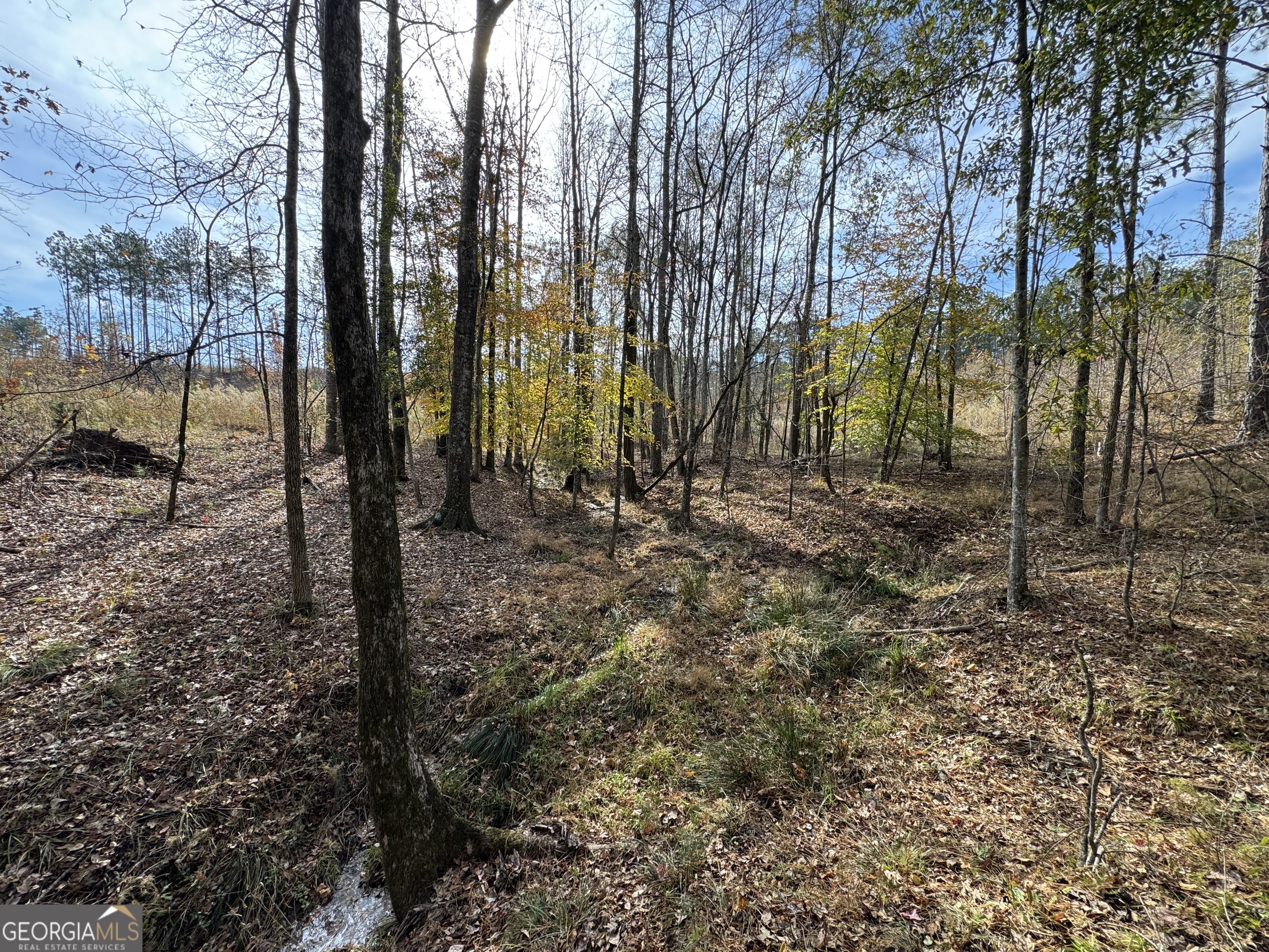 0 Old Middleton Road Elberton, GA 30635 - Photo 7 of 42 a view of a yard with trees