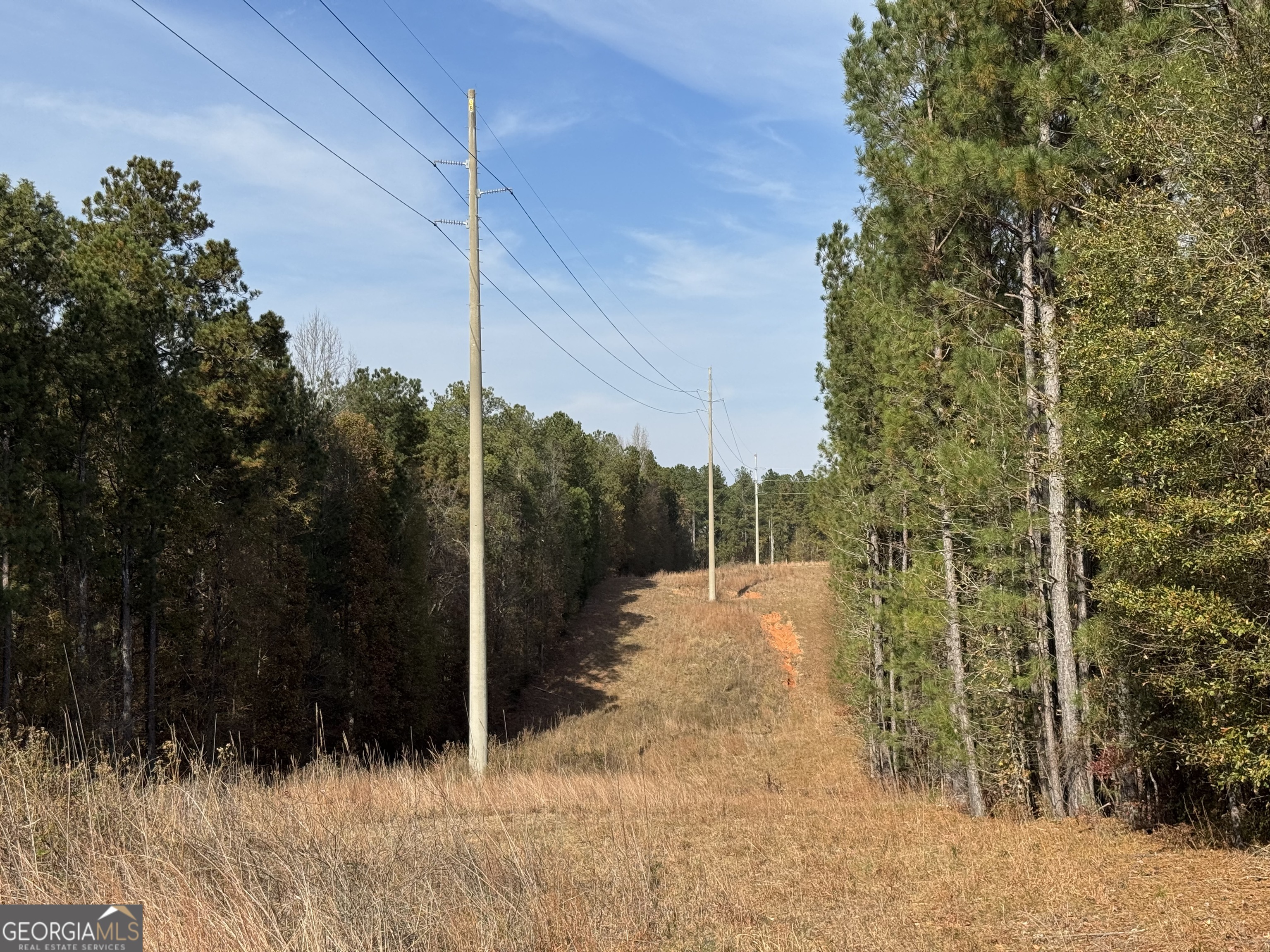 0 Old Middleton Road Elberton, GA 30635 - Photo 8 of 42 a view of a backyard