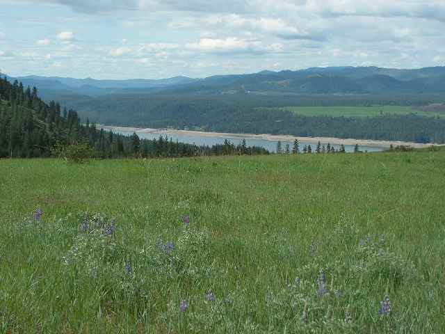 3366 Spirit Ridge Way Rice, WA 99167 - Photo 1 of 1