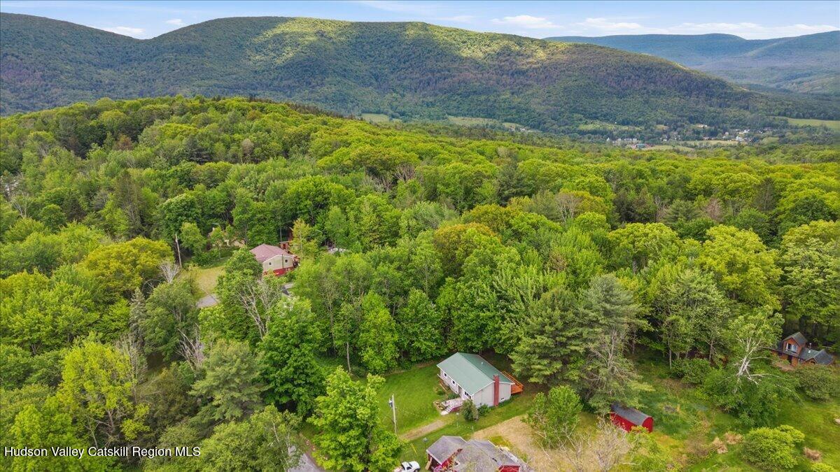 125 Reme Road Prattsville, NY 12468 - Photo 34 of 35 35-Drone Photography