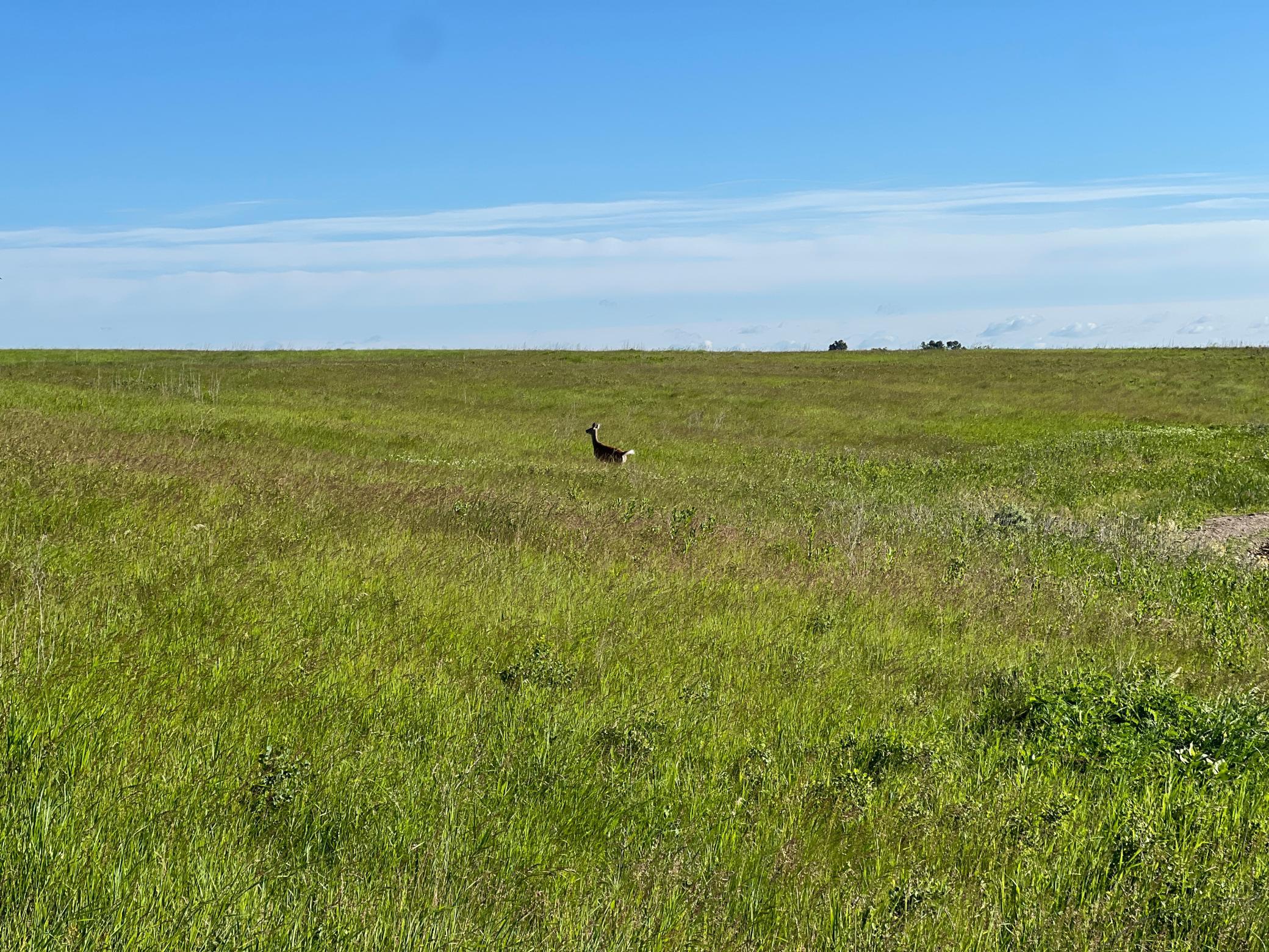 Tbd Southeast Tbd Se 90th Street Rutland, ND 58067 - Photo 34 of 105