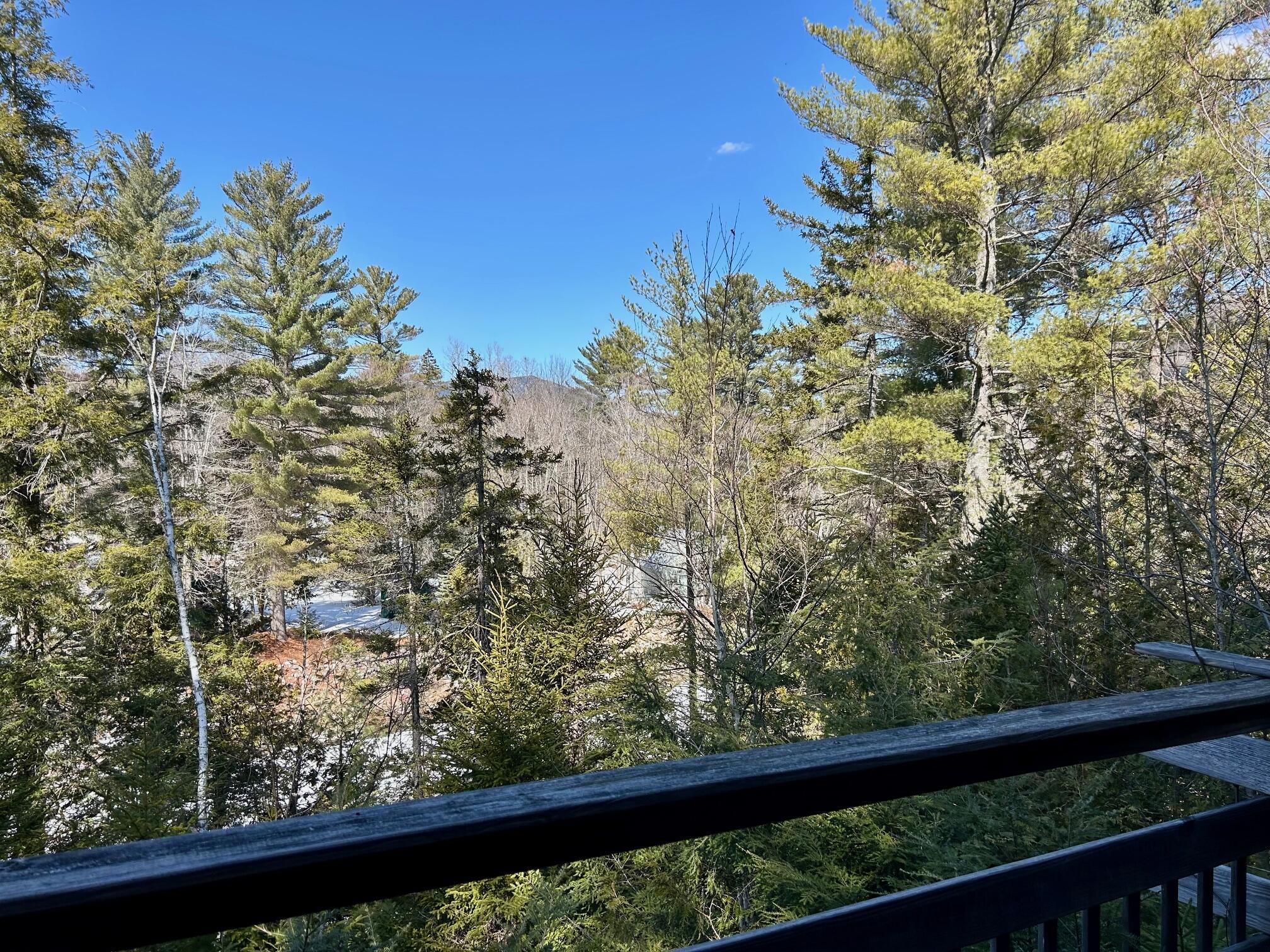 1050 Spring Farm Road Carrabassett Valley, ME 04947 - Photo 12 of 18 View from Deck