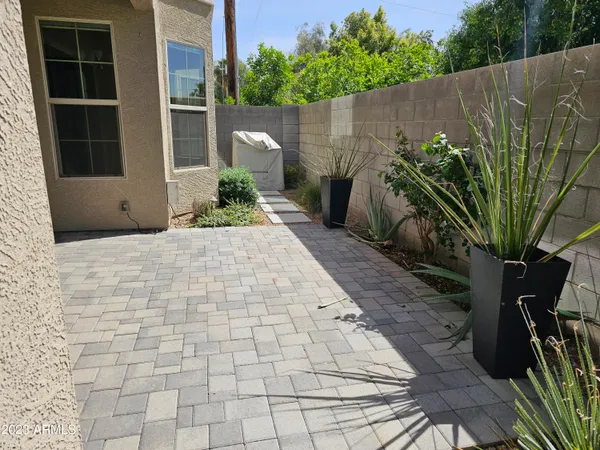 a view of a backyard