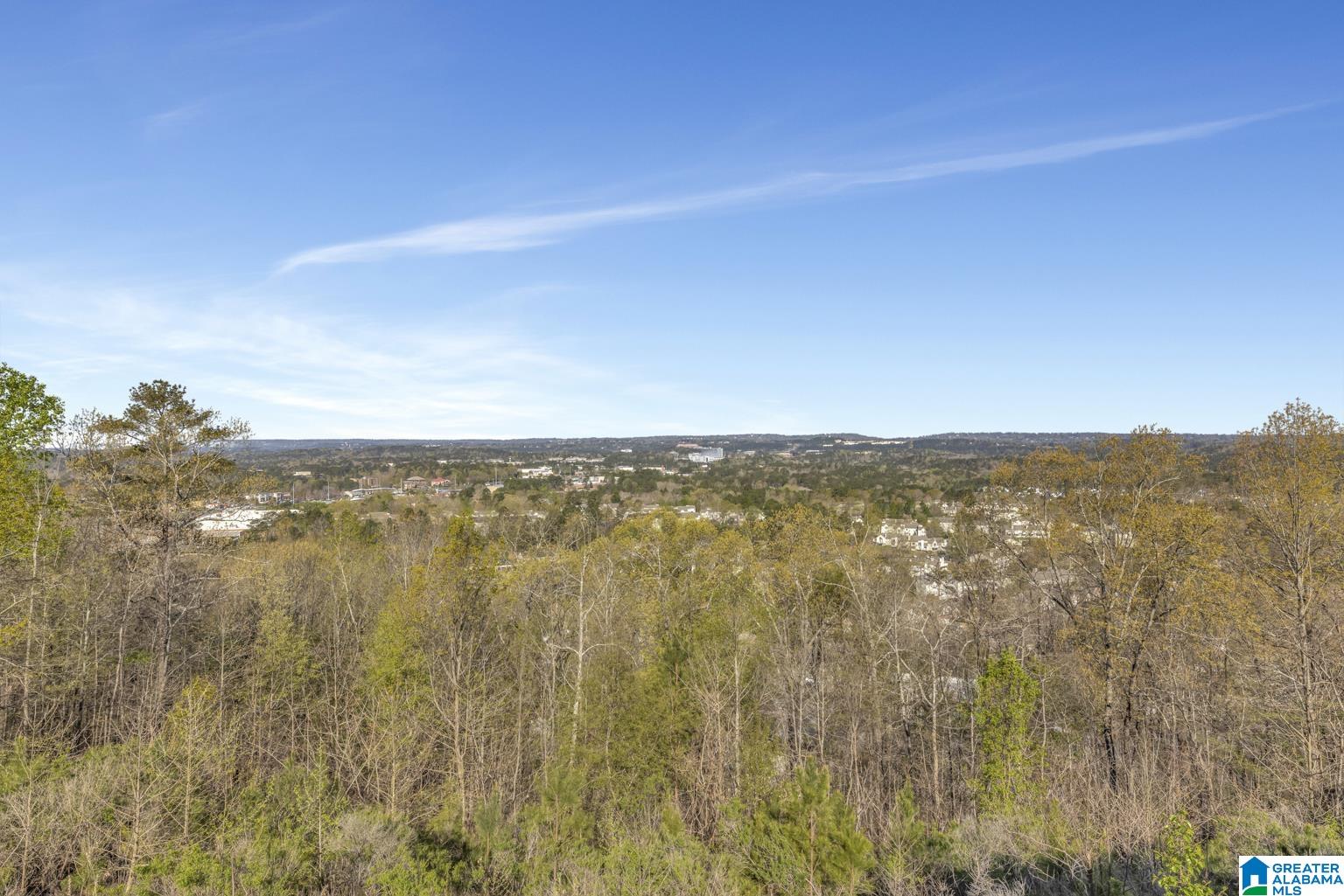 4080 Eagle Ridge Court Birmingham, AL 35242 - Photo 28 of 28 Gallery Image 28