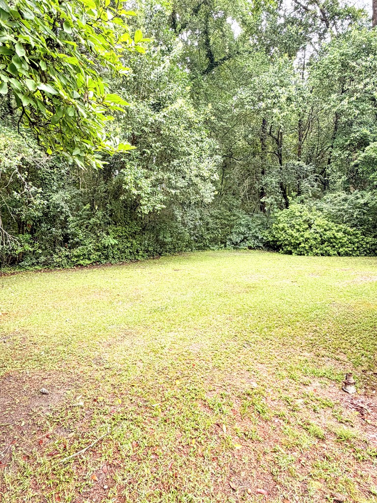 739 Lake Frankie Road Samson, AL 36477 - Photo 25 of 31