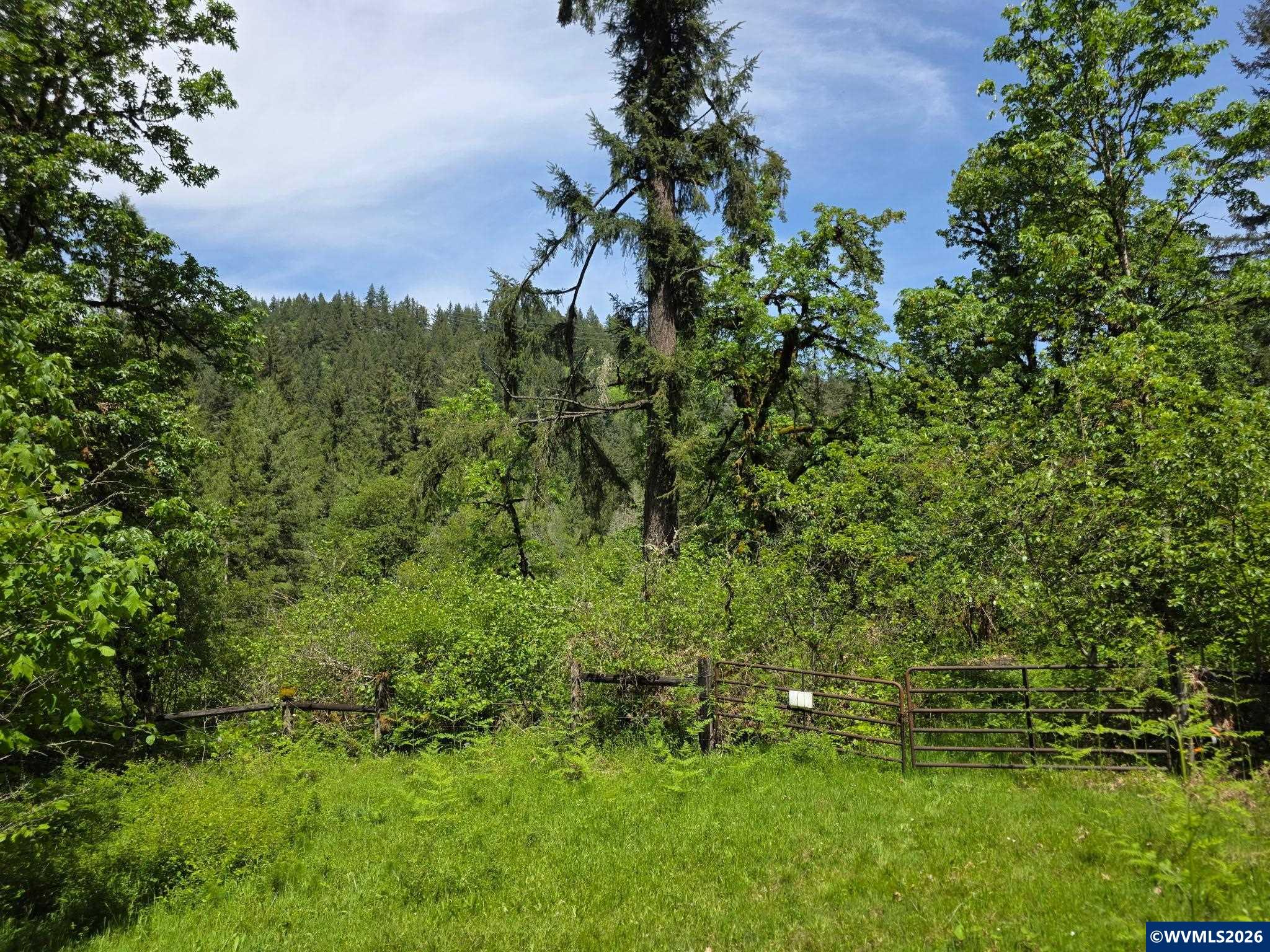 Lot 500 Lewis Cemetery Road Southeast Silverton, OR 97381 - Photo 1 of 9