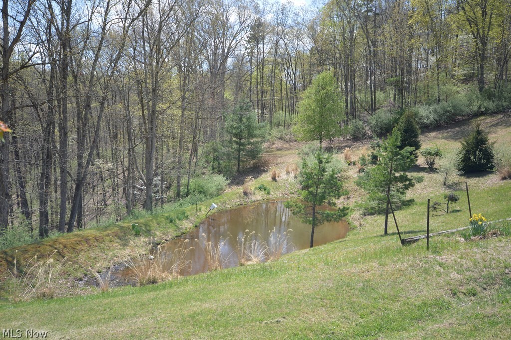 2397 Sandys Run Road West Union, WV 26456 - Photo 4 of 35 Gallery Image 4