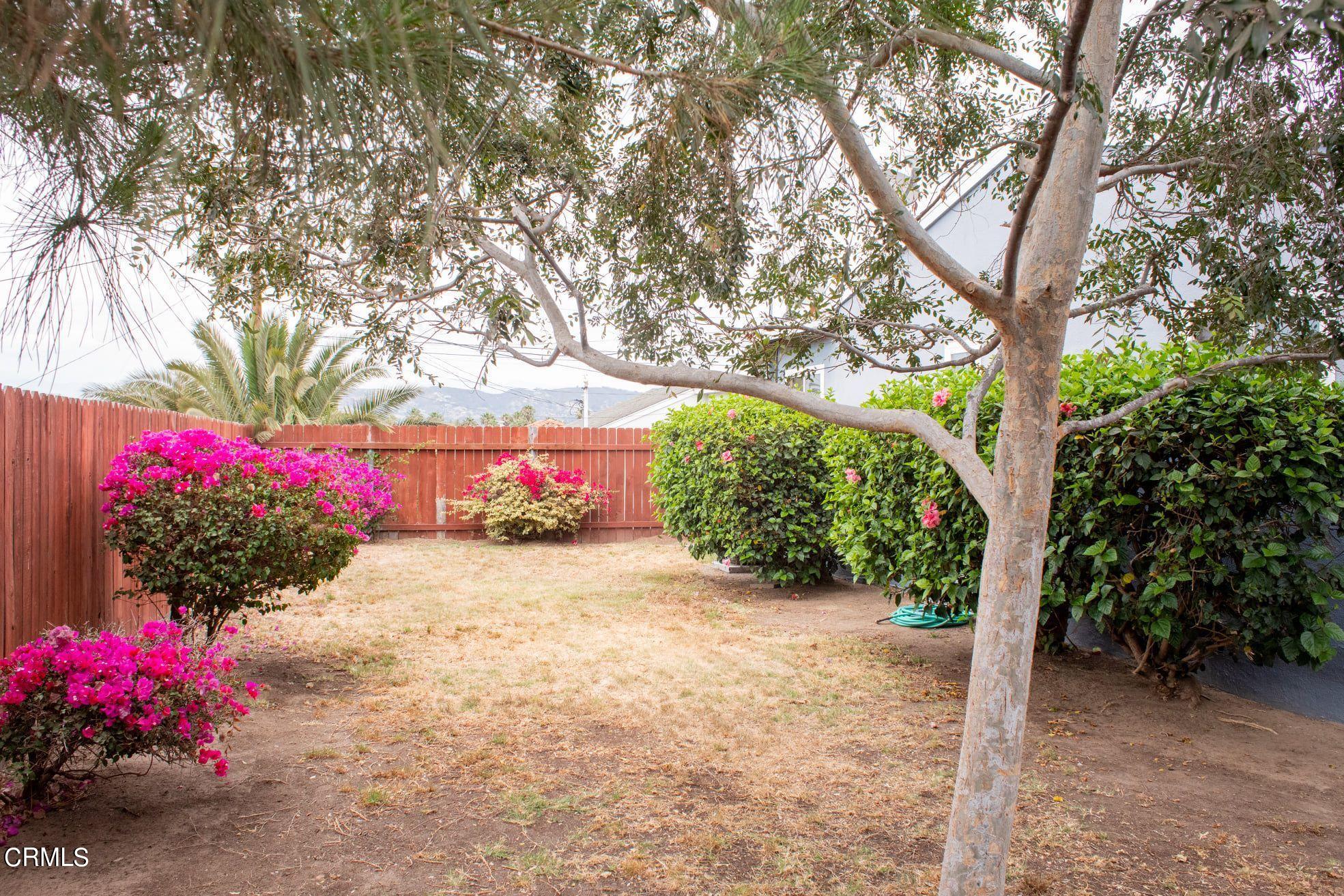 117 Kenneth Street Camarillo, CA 93010 - Photo 22 of 24 a street view with large trees