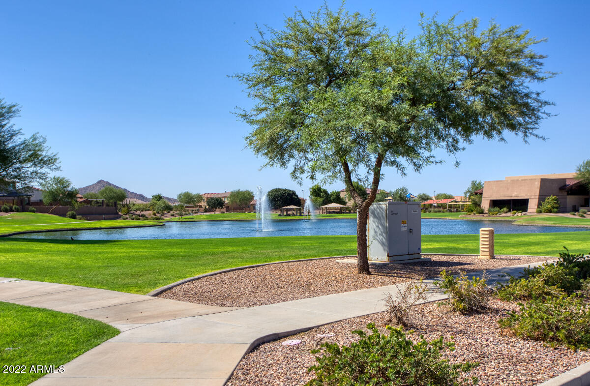 2372 East Gillcrest Road Gilbert, AZ 85298 - Photo 29 of 37 fountain