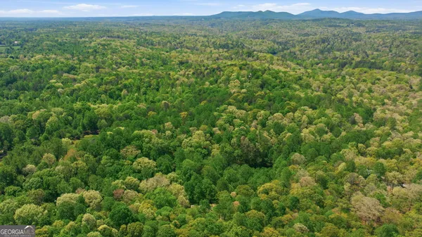 $654,000 | 3617 Pea Ridge Road, Cornelia, GA 30531