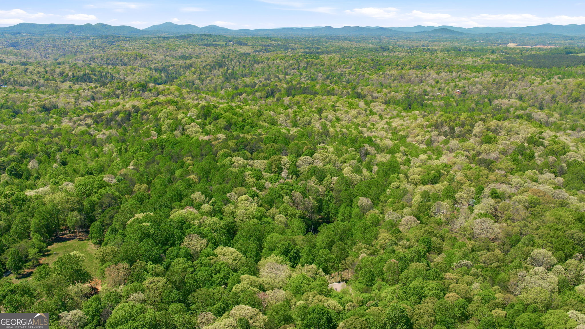 3617 Pea Ridge Road Cornelia, GA 30531 - Photo 104 of 112