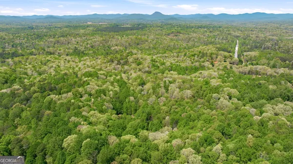 $654,000 | 3617 Pea Ridge Road, Cornelia, GA 30531