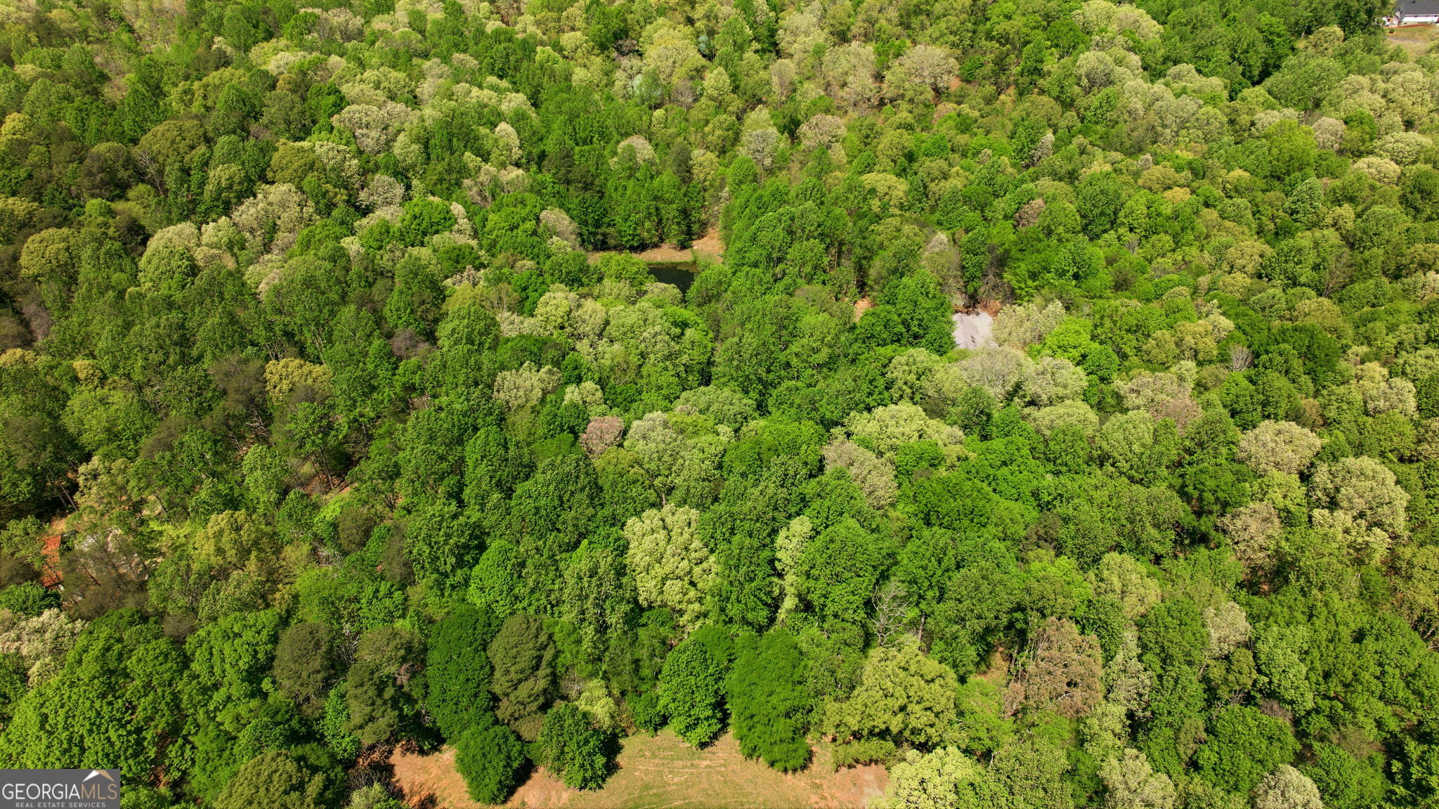 3617 Pea Ridge Road Cornelia, GA 30531 - Photo 110 of 112