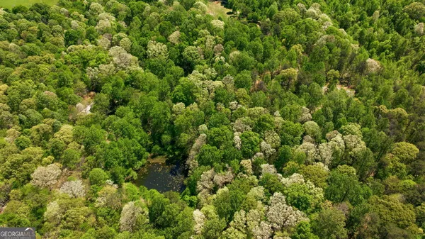 $654,000 | 3617 Pea Ridge Road, Cornelia, GA 30531