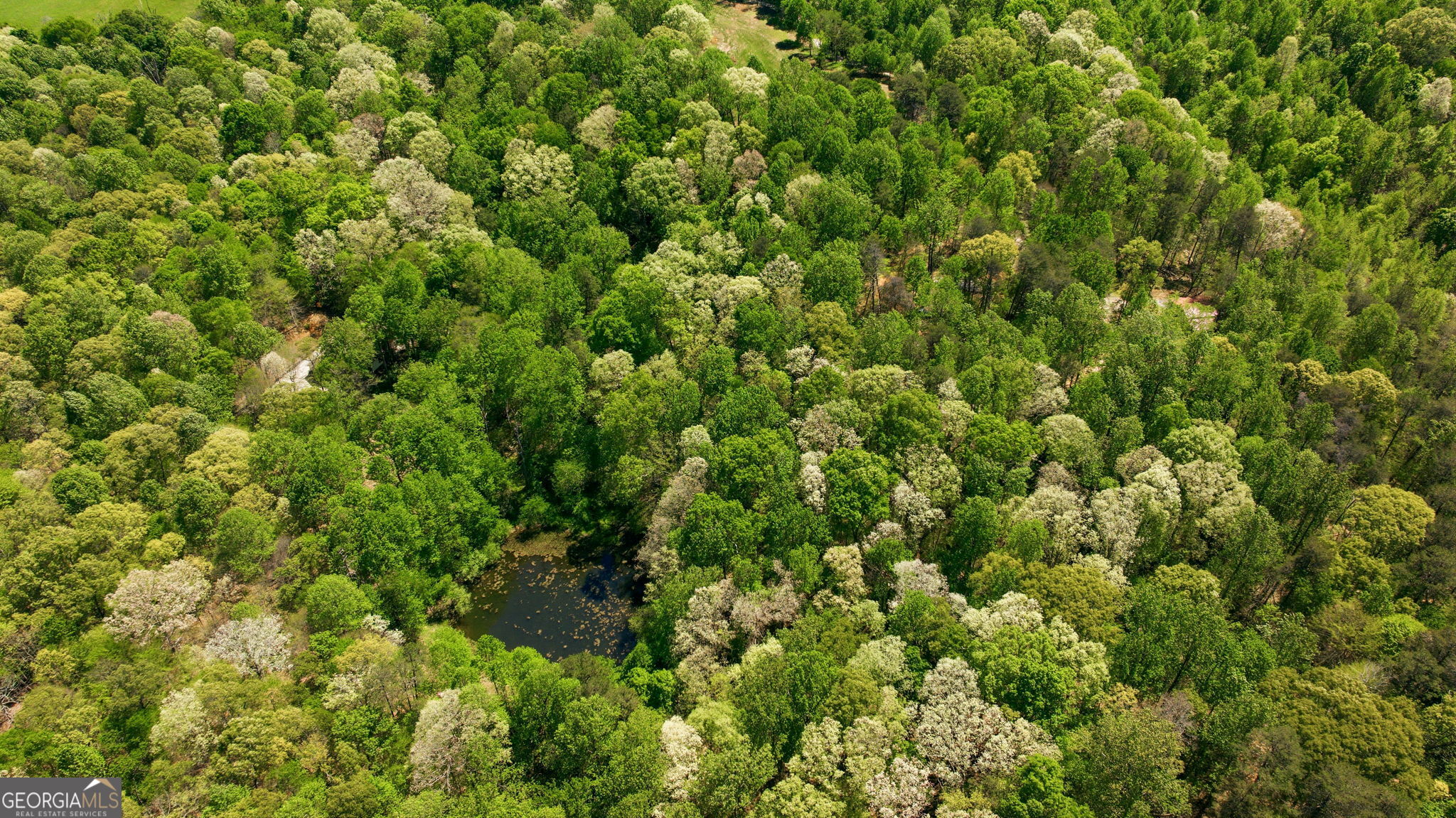 3617 Pea Ridge Road Cornelia, GA 30531 - Photo 112 of 112