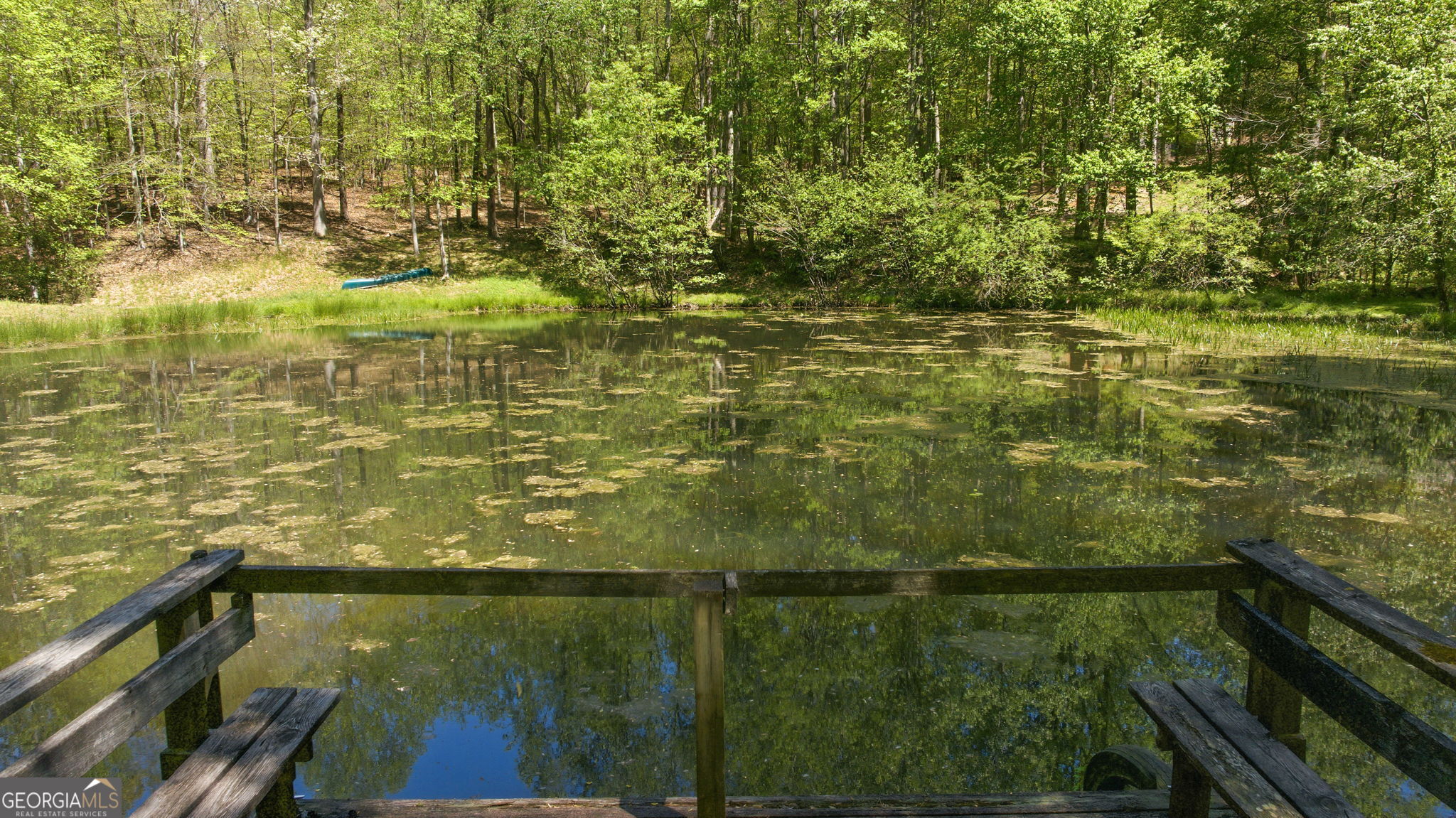 3617 Pea Ridge Road Cornelia, GA 30531 - Photo 3 of 112