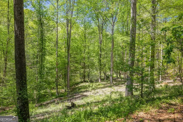 $654,000 | 3617 Pea Ridge Road, Cornelia, GA 30531