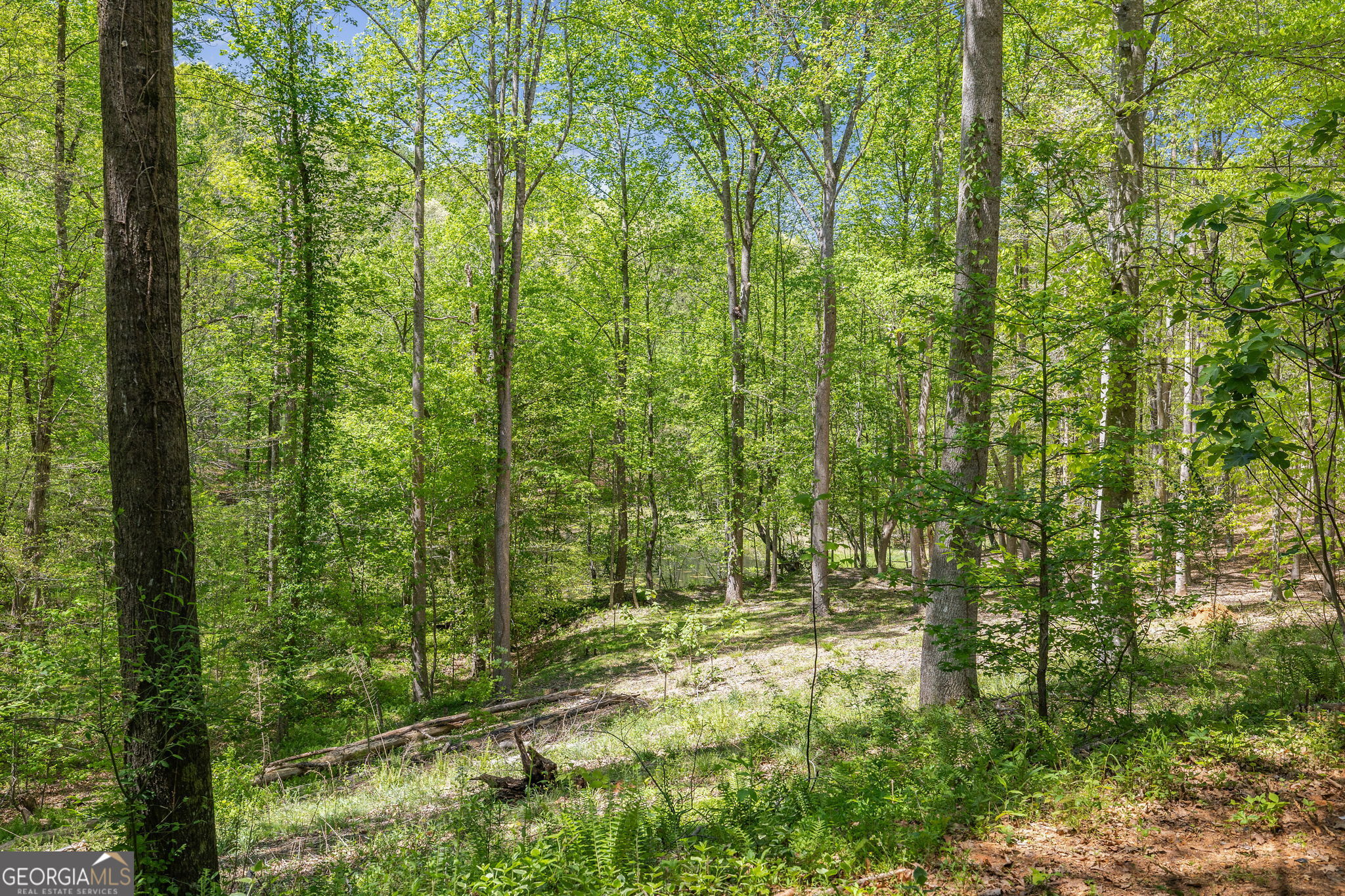 3617 Pea Ridge Road Cornelia, GA 30531 - Photo 64 of 112