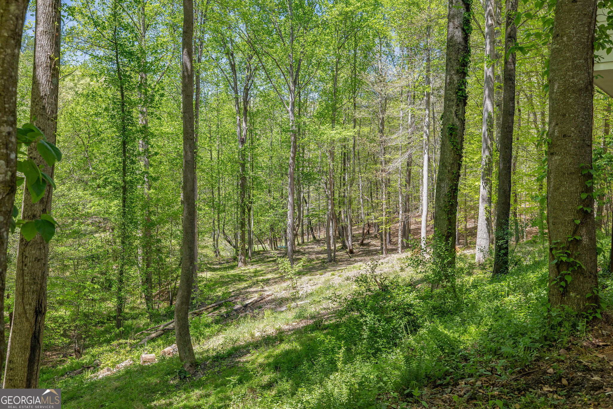 3617 Pea Ridge Road Cornelia, GA 30531 - Photo 72 of 112