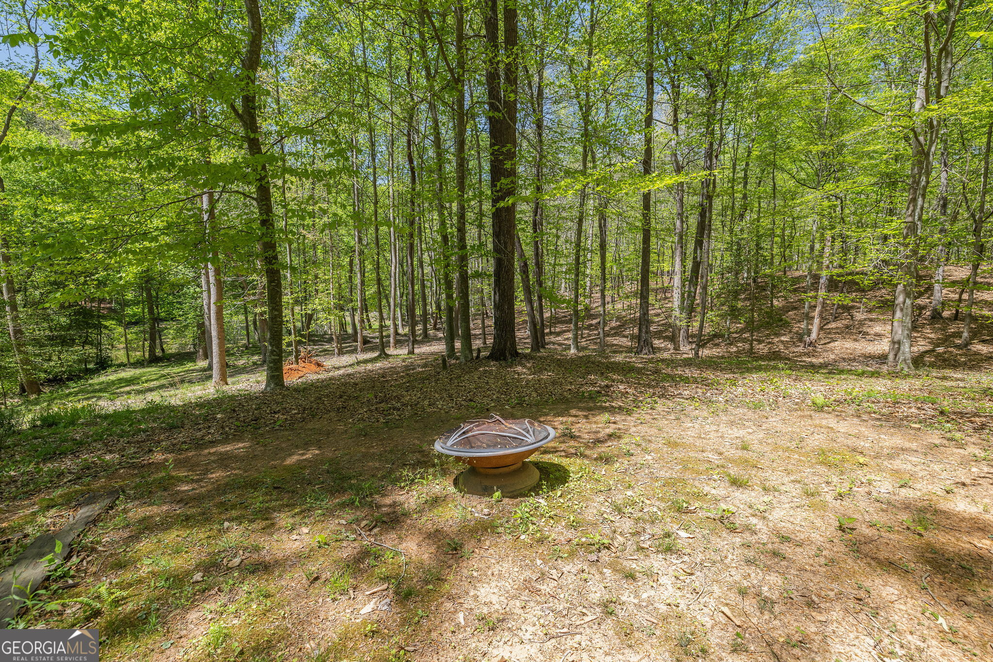 3617 Pea Ridge Road Cornelia, GA 30531 - Photo 73 of 112