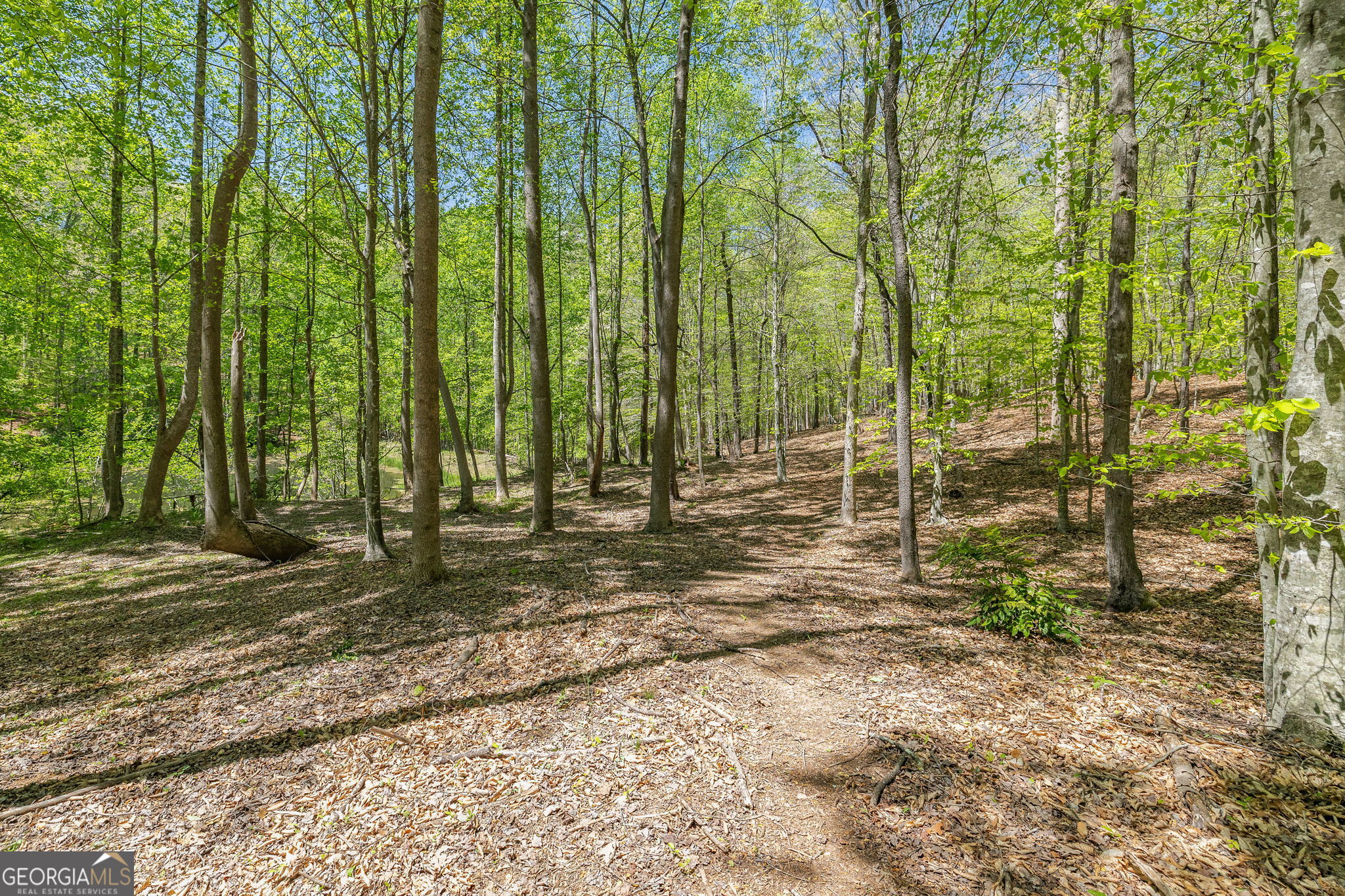 3617 Pea Ridge Road Cornelia, GA 30531 - Photo 74 of 112