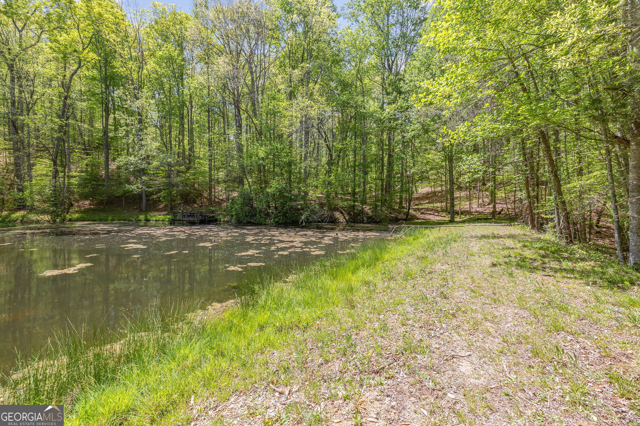 3617 Pea Ridge Road Cornelia, GA 30531 - Photo 76 of 112