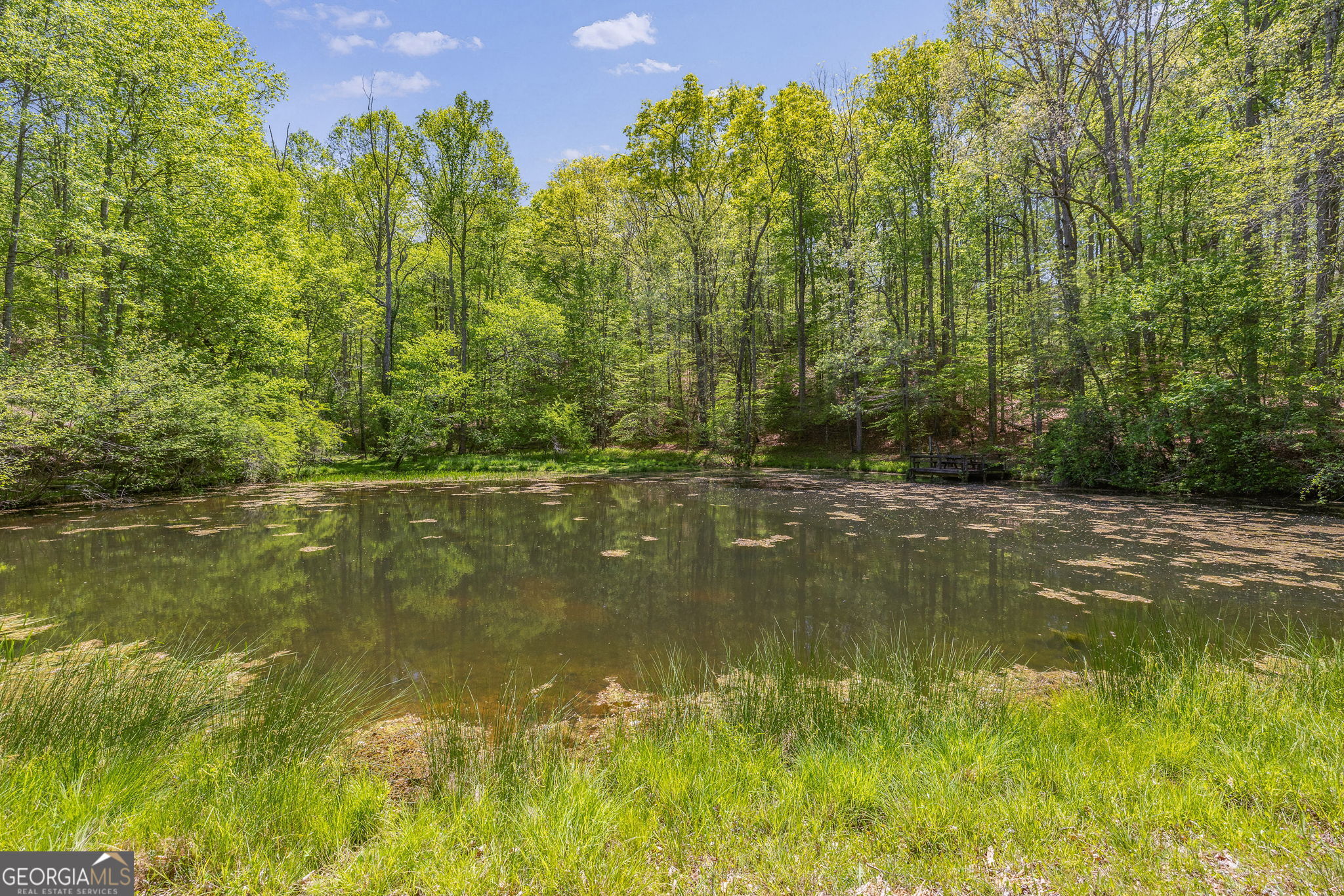 3617 Pea Ridge Road Cornelia, GA 30531 - Photo 77 of 112
