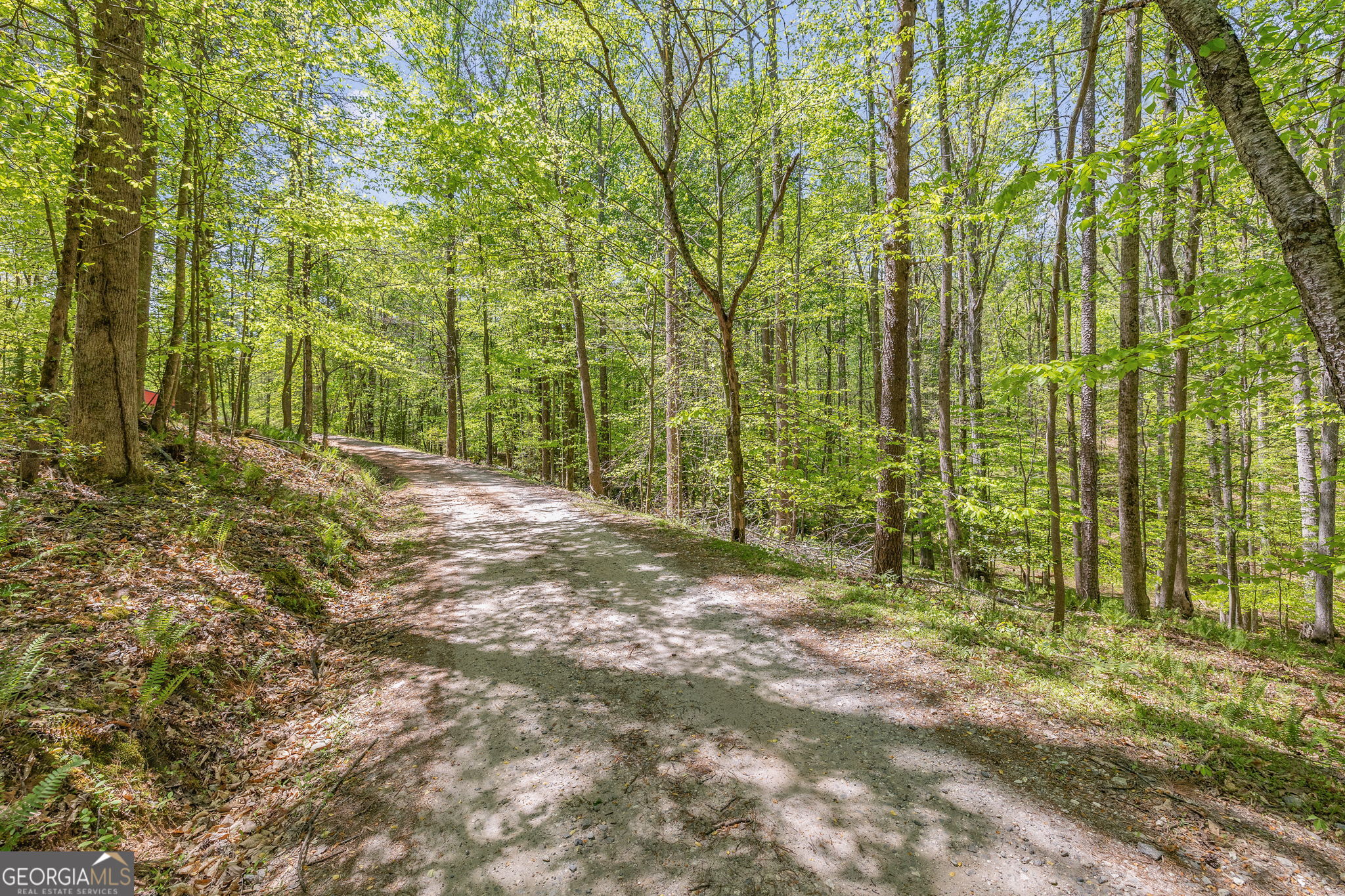 3617 Pea Ridge Road Cornelia, GA 30531 - Photo 78 of 112