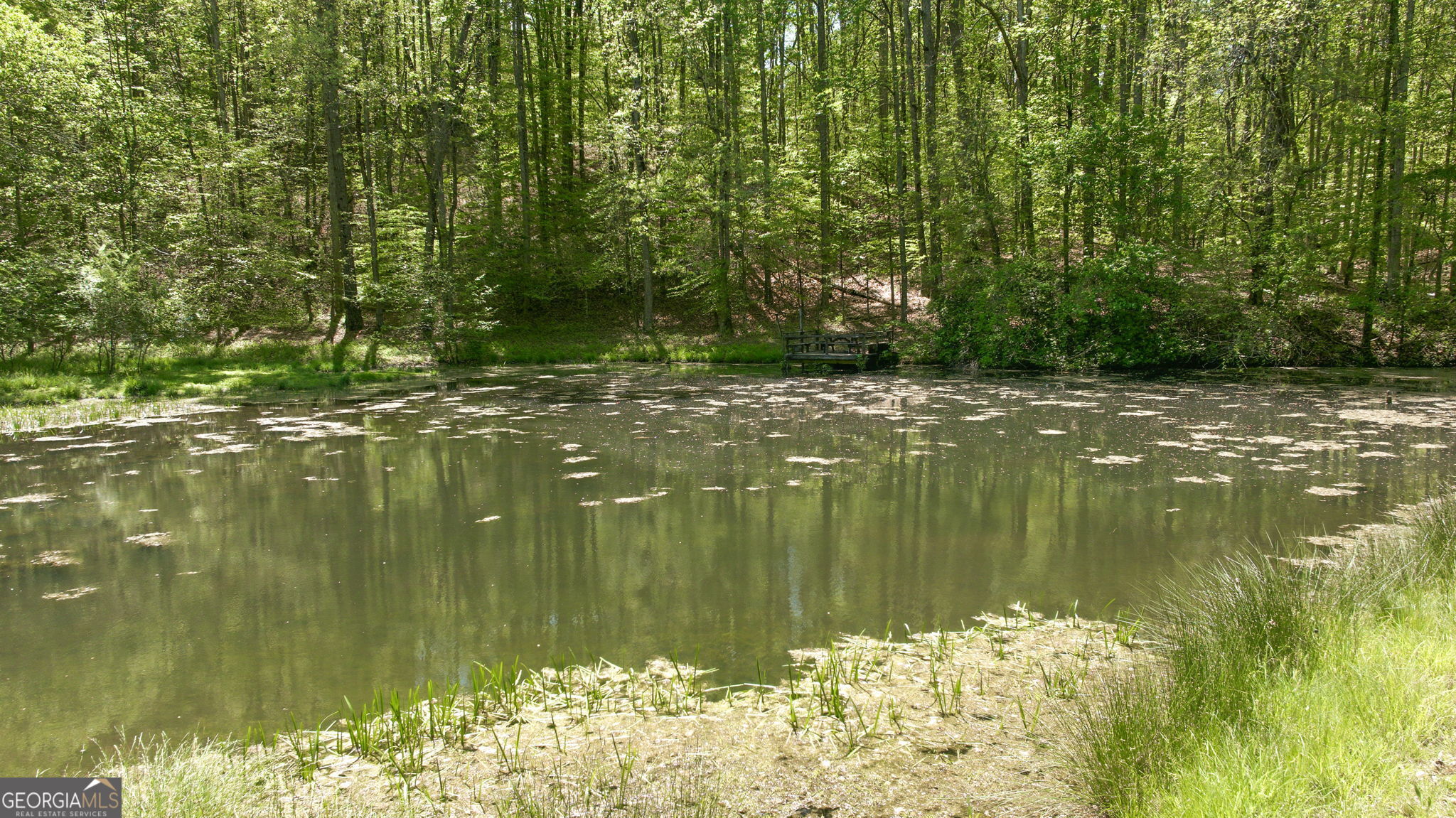 3617 Pea Ridge Road Cornelia, GA 30531 - Photo 87 of 112