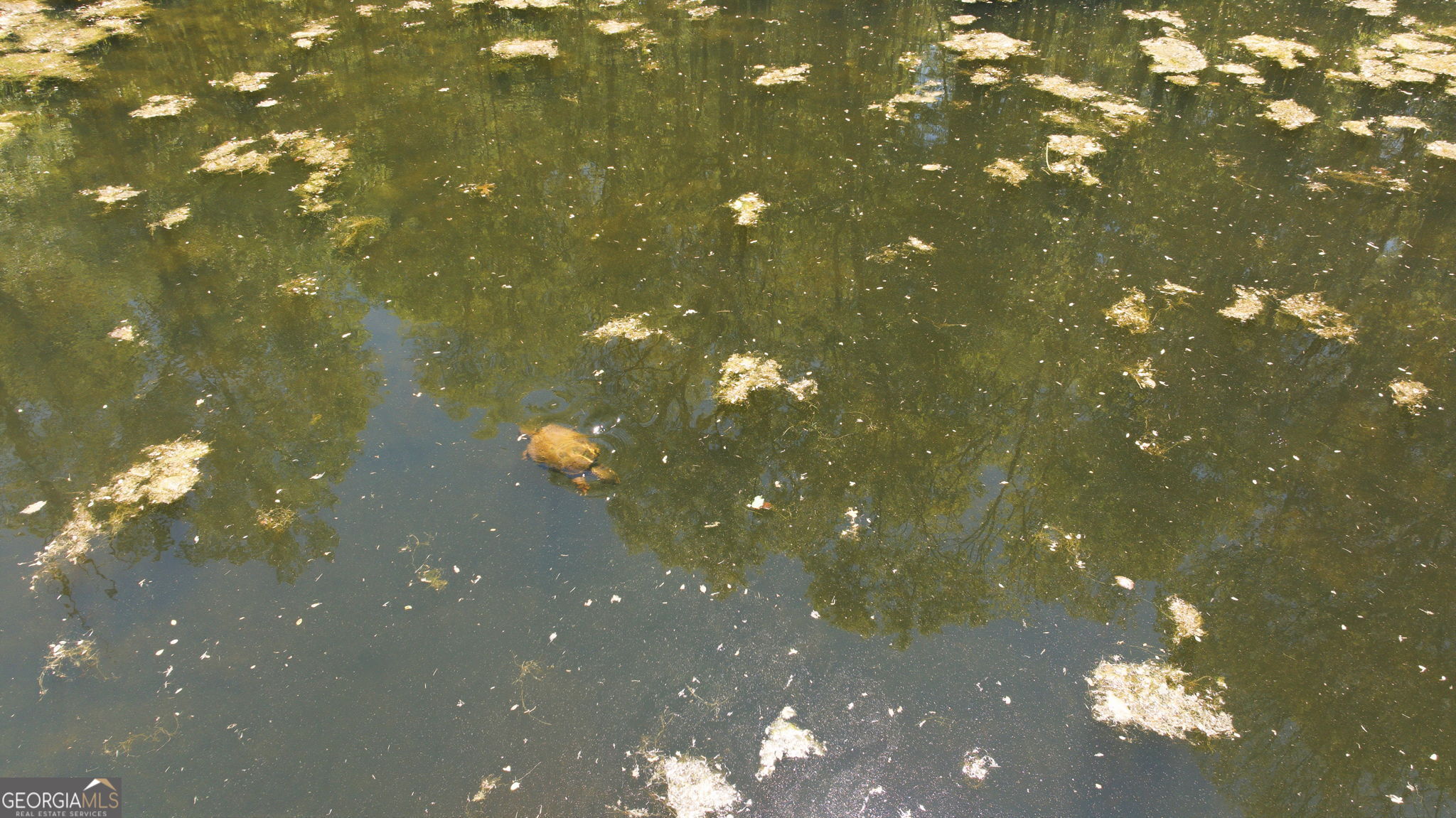 3617 Pea Ridge Road Cornelia, GA 30531 - Photo 88 of 112