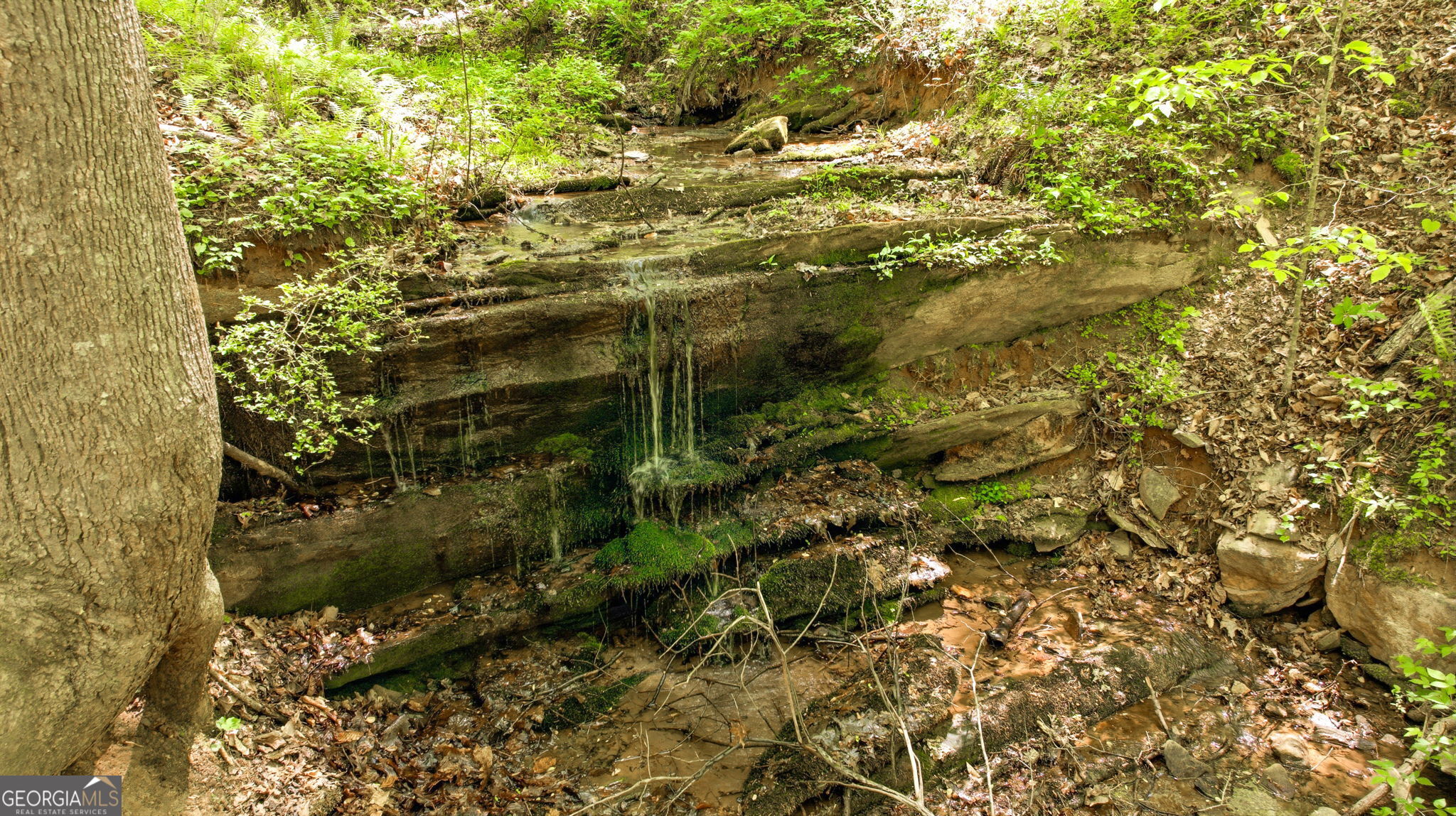3617 Pea Ridge Road Cornelia, GA 30531 - Photo 92 of 112
