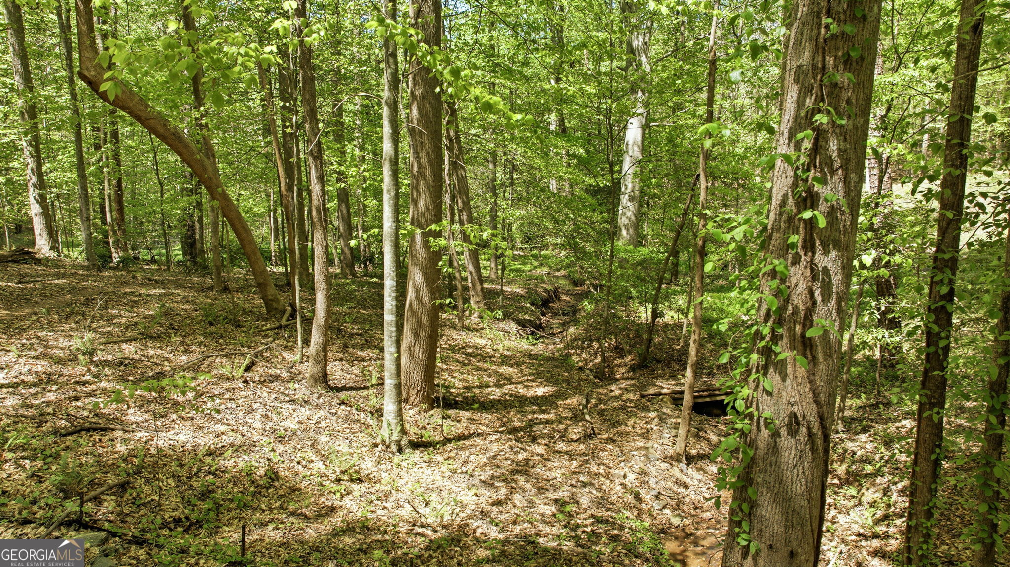 3617 Pea Ridge Road Cornelia, GA 30531 - Photo 93 of 112