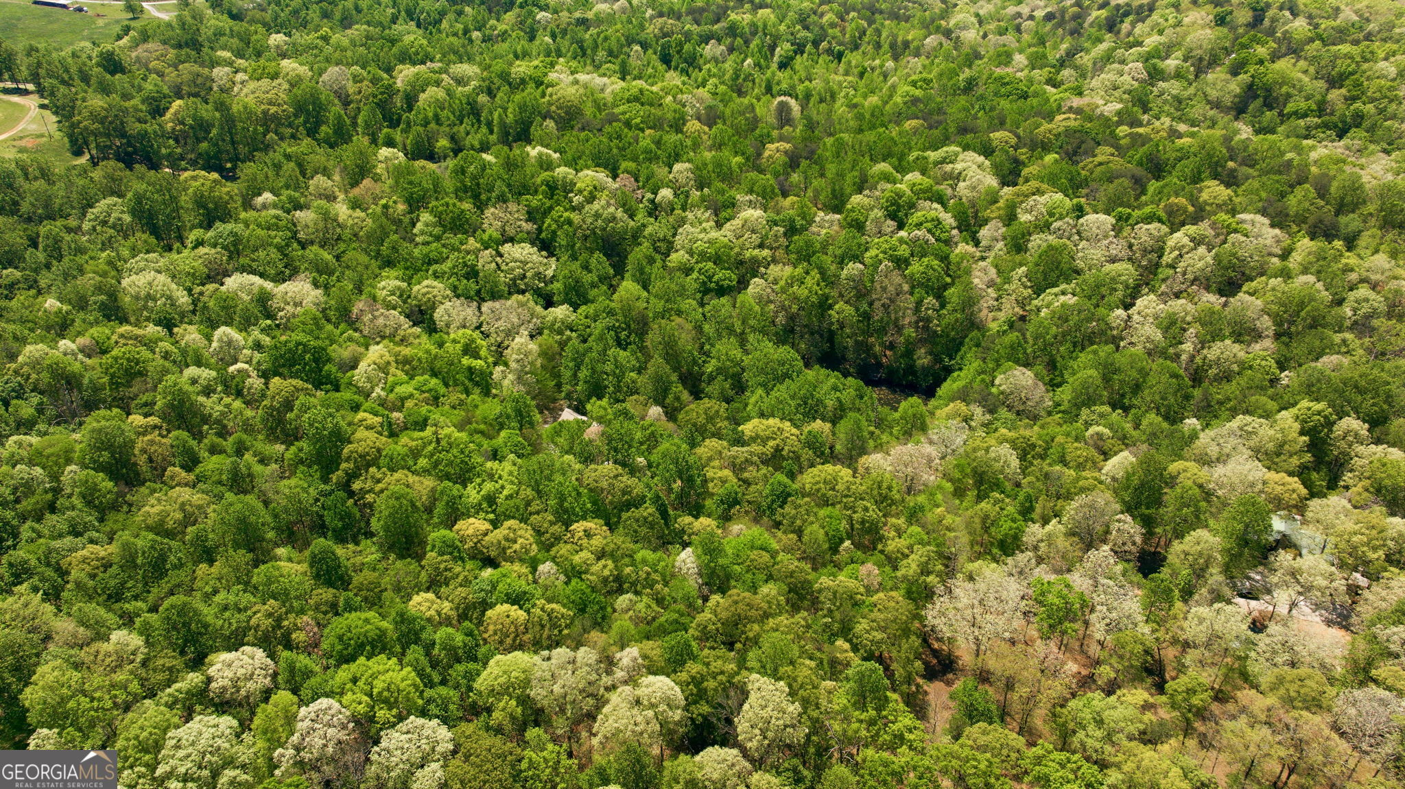 3617 Pea Ridge Road Cornelia, GA 30531 - Photo 97 of 112