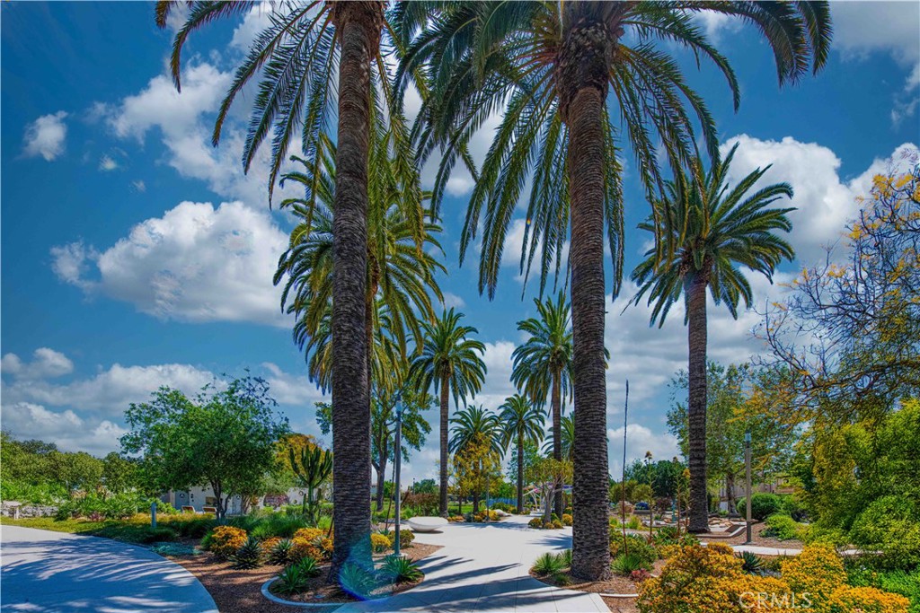 184 Terrapin Irvine, CA 92618 - Photo 61 of 74 a view of outdoor space with palm trees