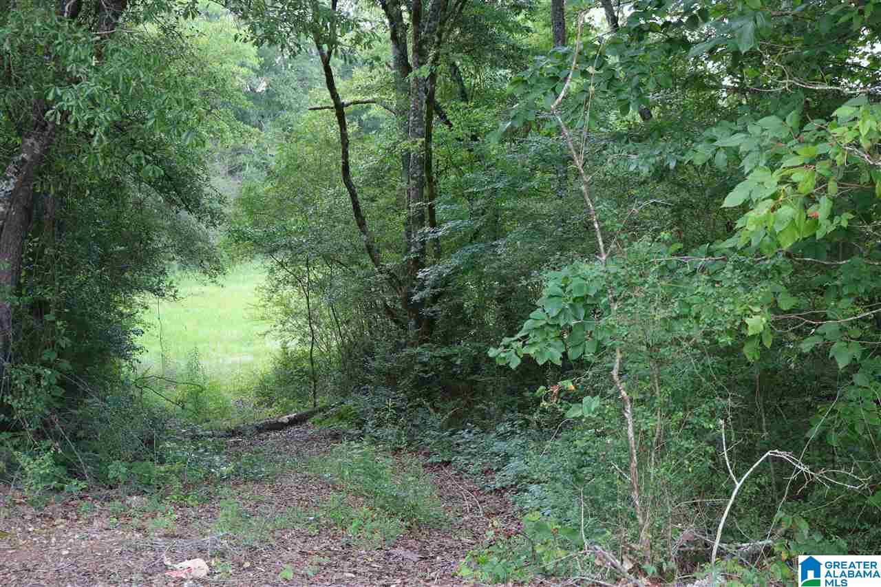 1121 Dry Valley Road, Unit 1 Lincoln, AL 35096 - Photo 6 of 7
