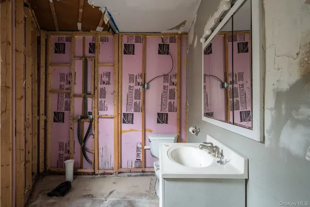a bathroom with a toilet a sink and mirror