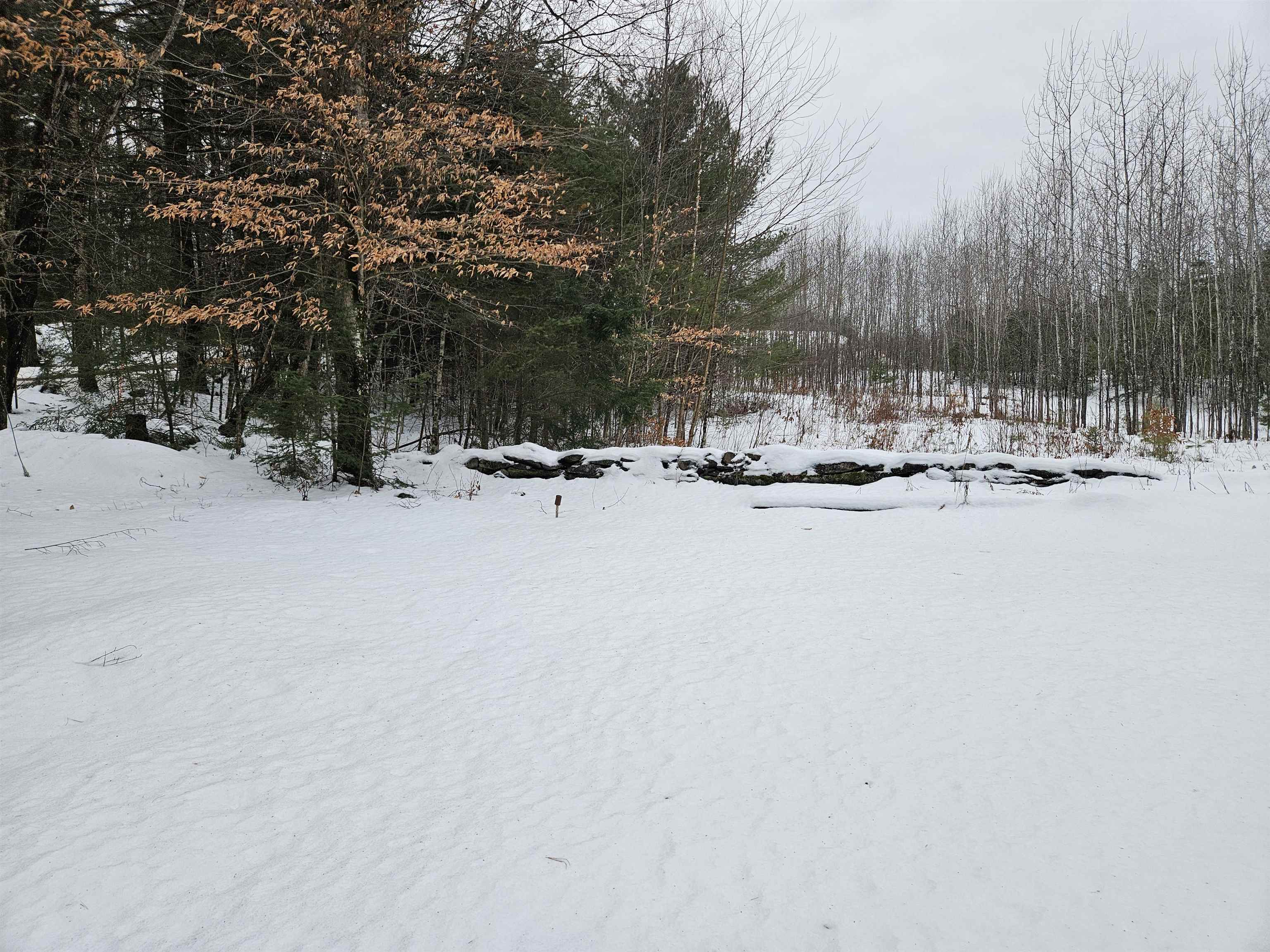 362 Rabbit Path Road Bath, NH 03740 - Photo 43 of 50