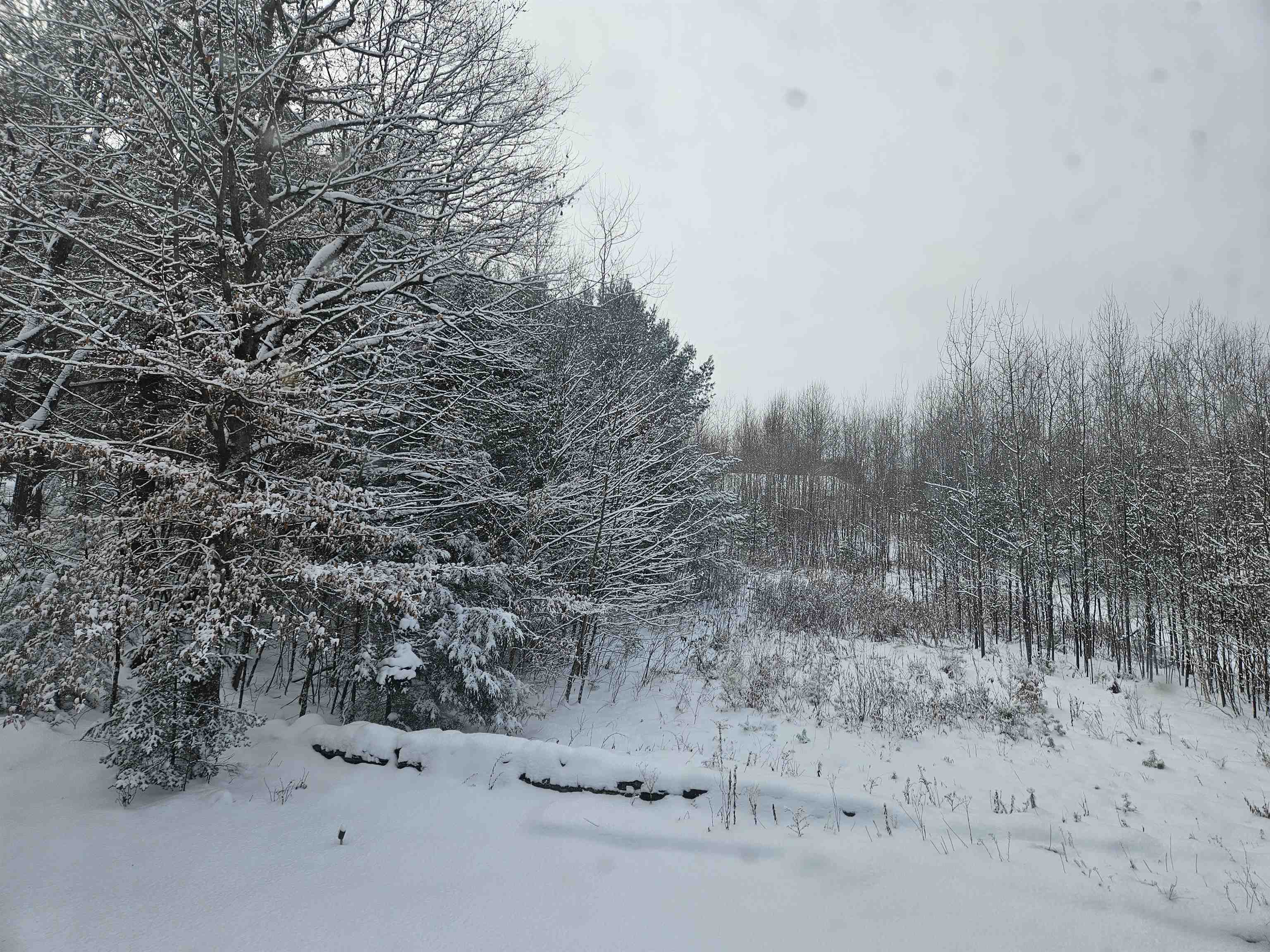 362 Rabbit Path Road Bath, NH 03740 - Photo 45 of 50