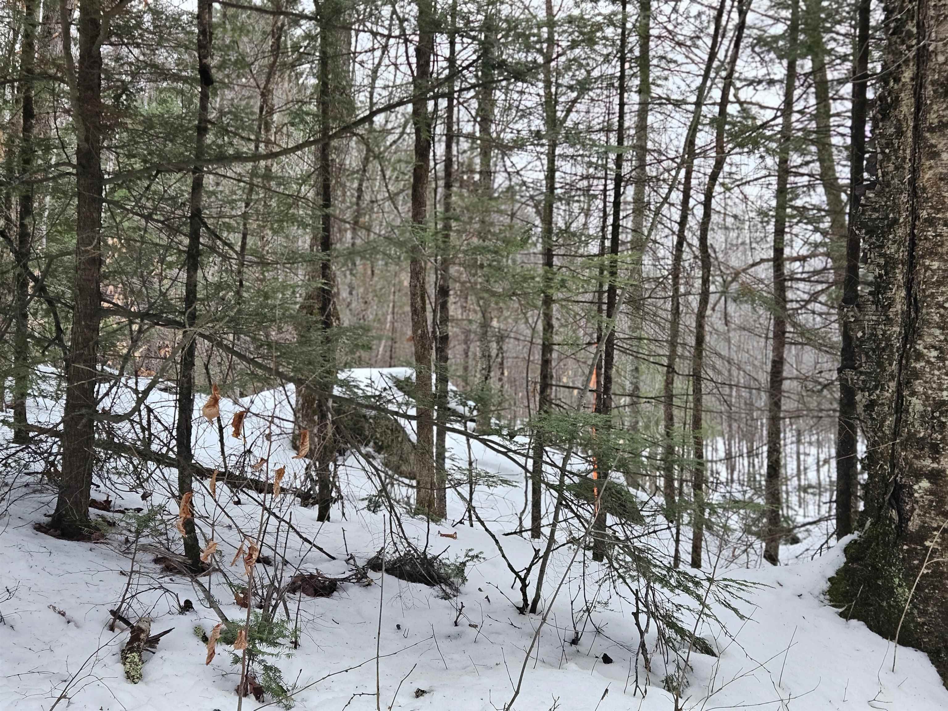 362 Rabbit Path Road Bath, NH 03740 - Photo 50 of 50