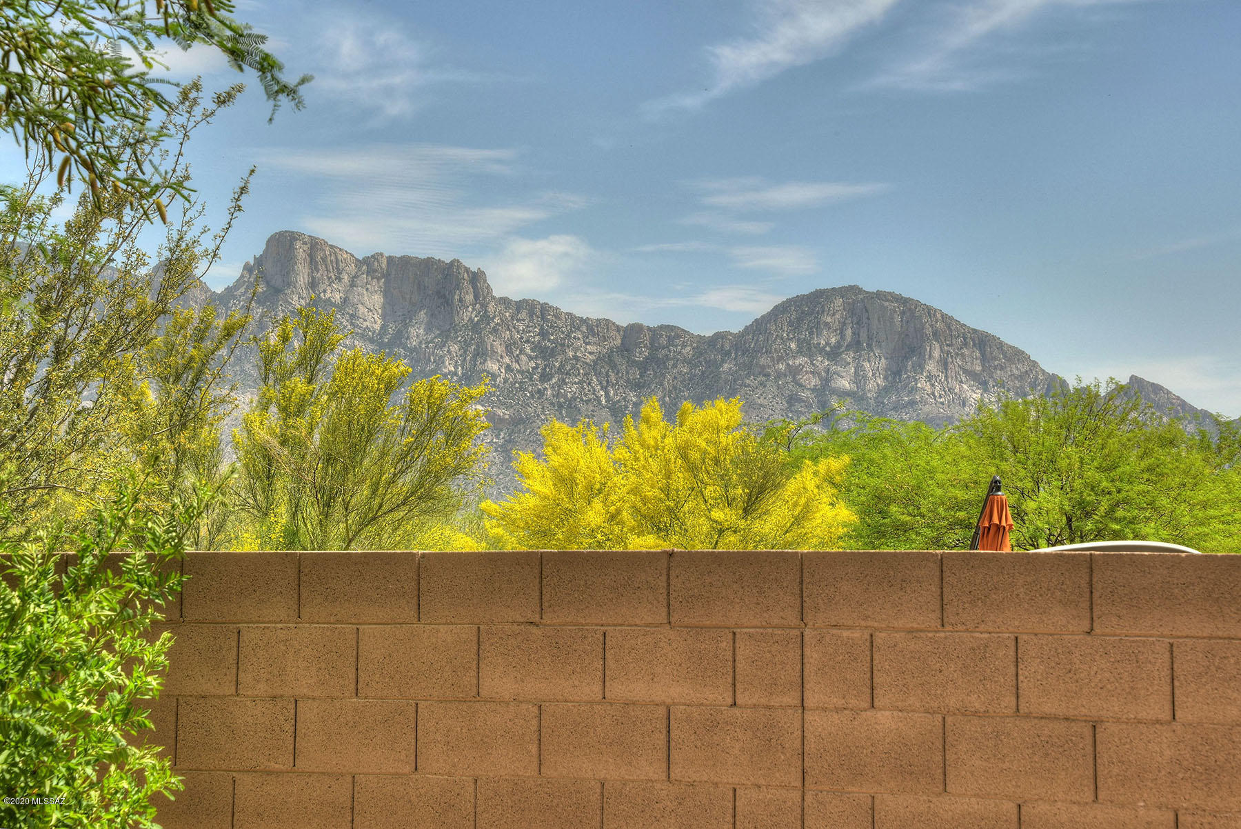12944 North Shell Traders Court Tucson, AZ 85755 - Photo 3 of 42