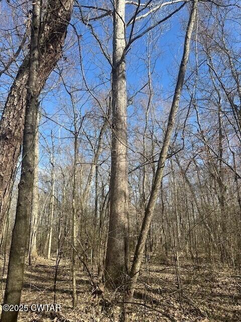 0 Lavinia Road Lavinia, TN 38348 - Photo 14 of 26 a backyard of a house